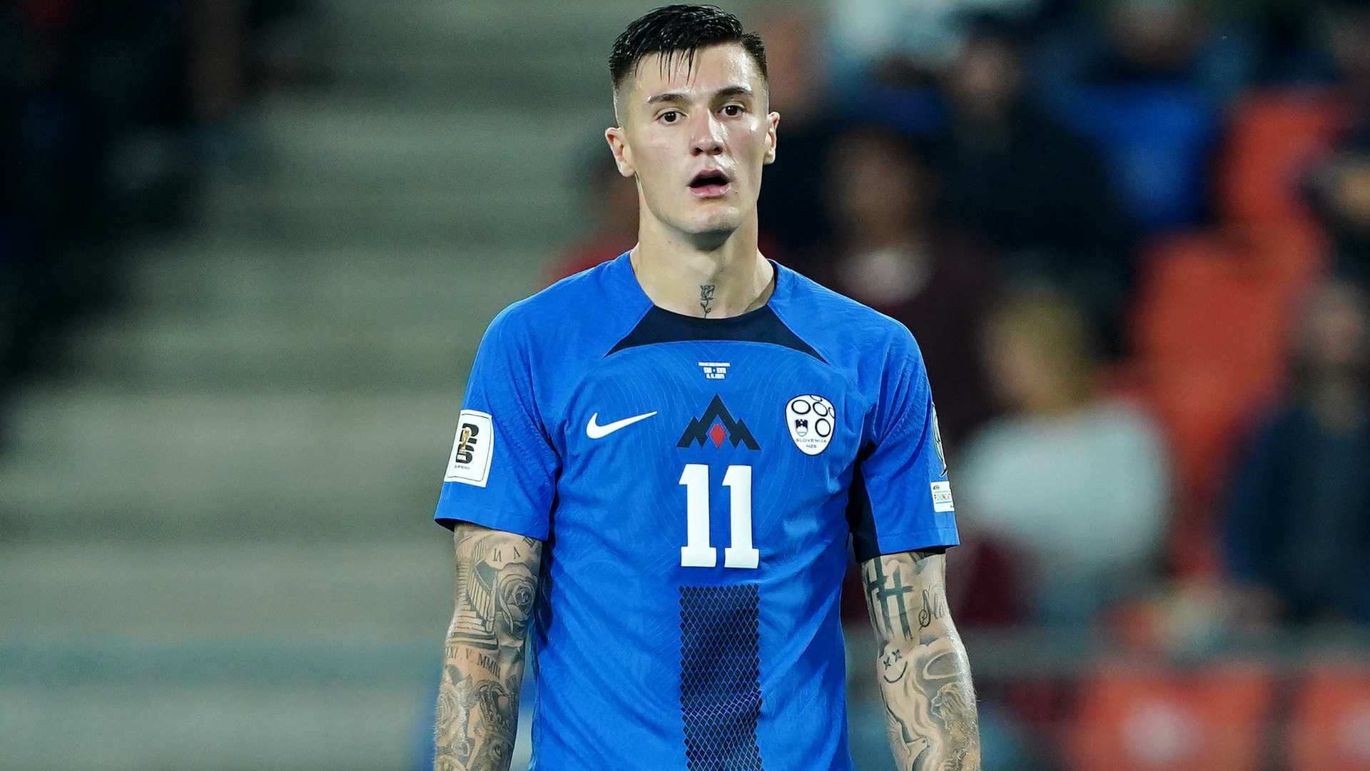 sesko