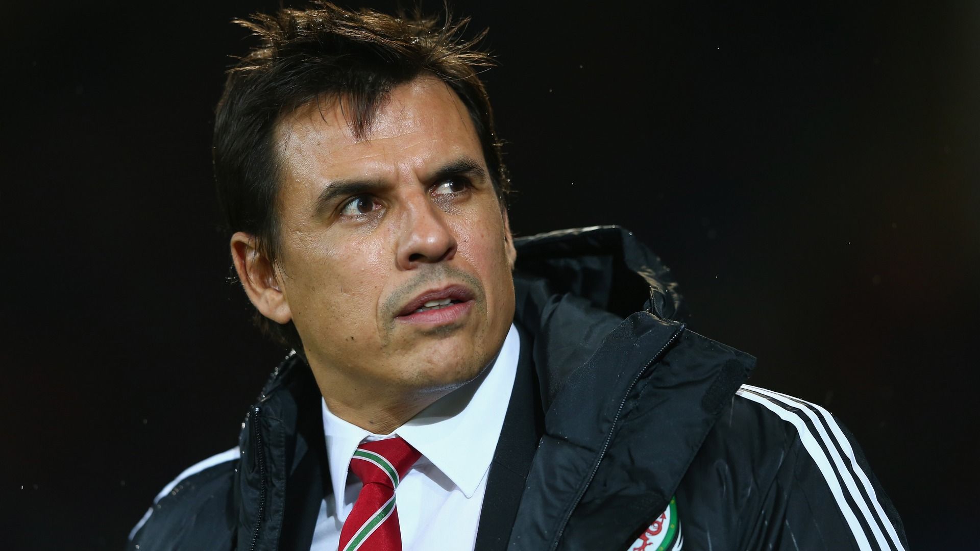 Chris Coleman Wales