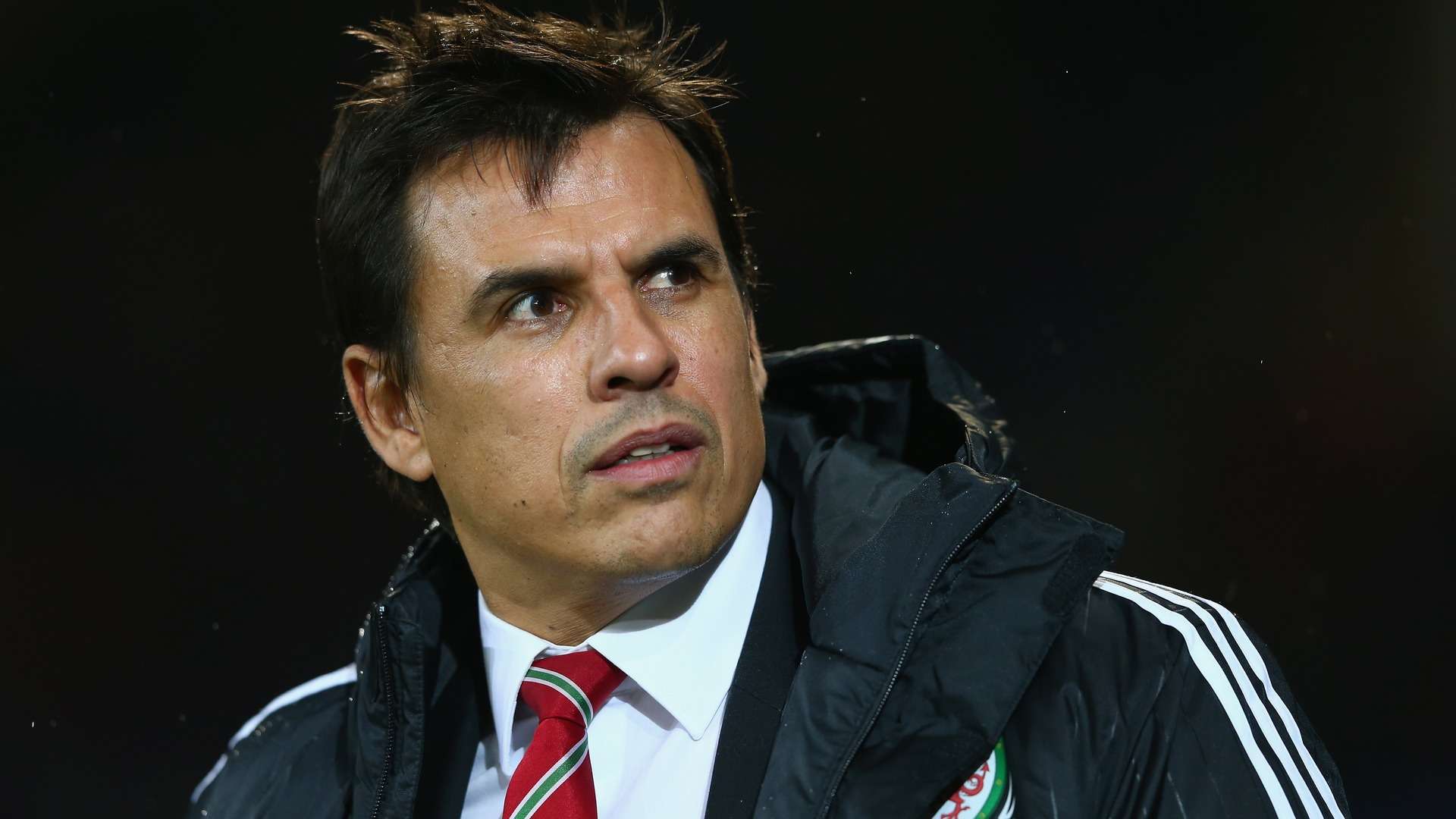 Chris Coleman Wales