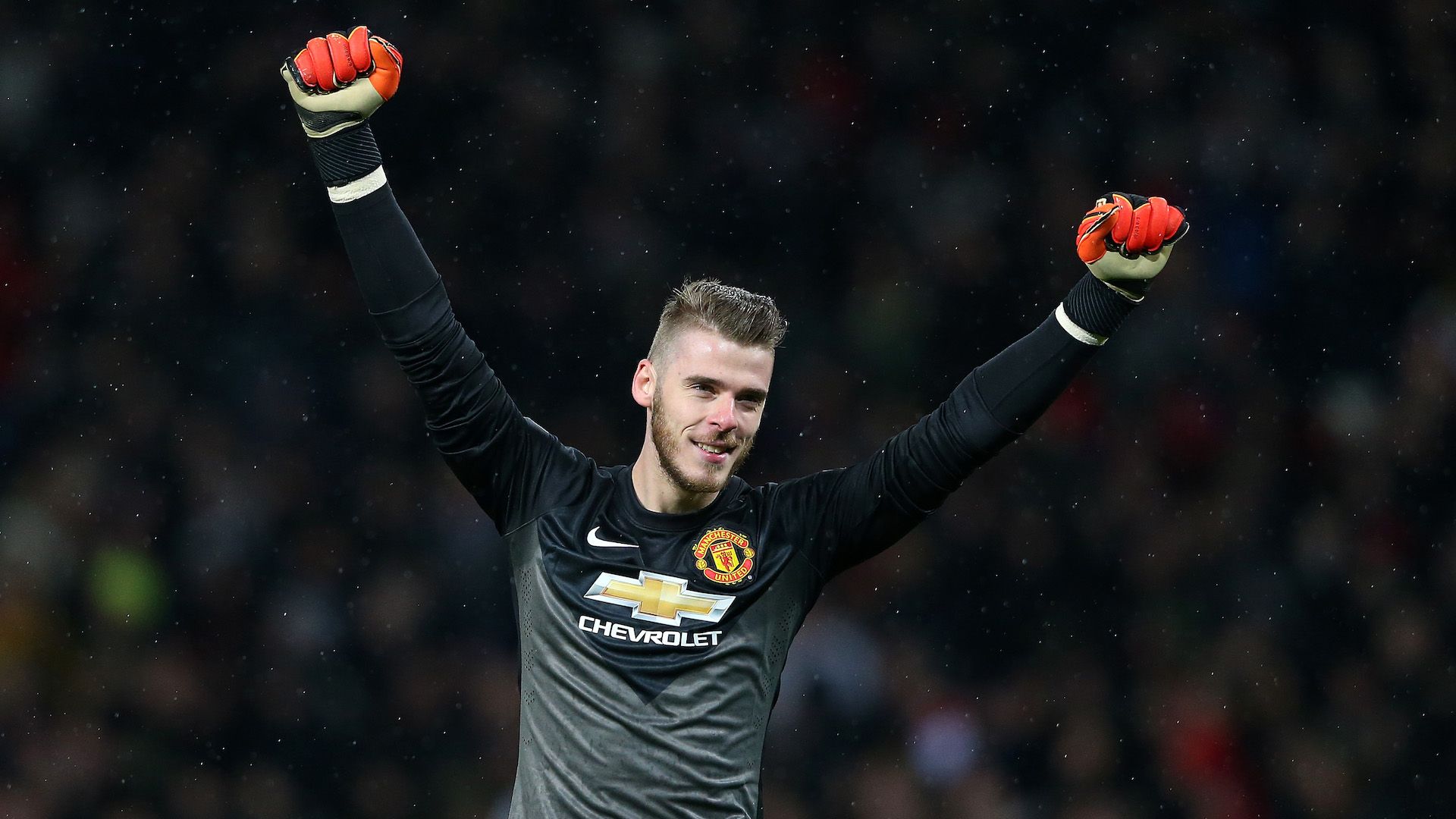 David de Gea 2015