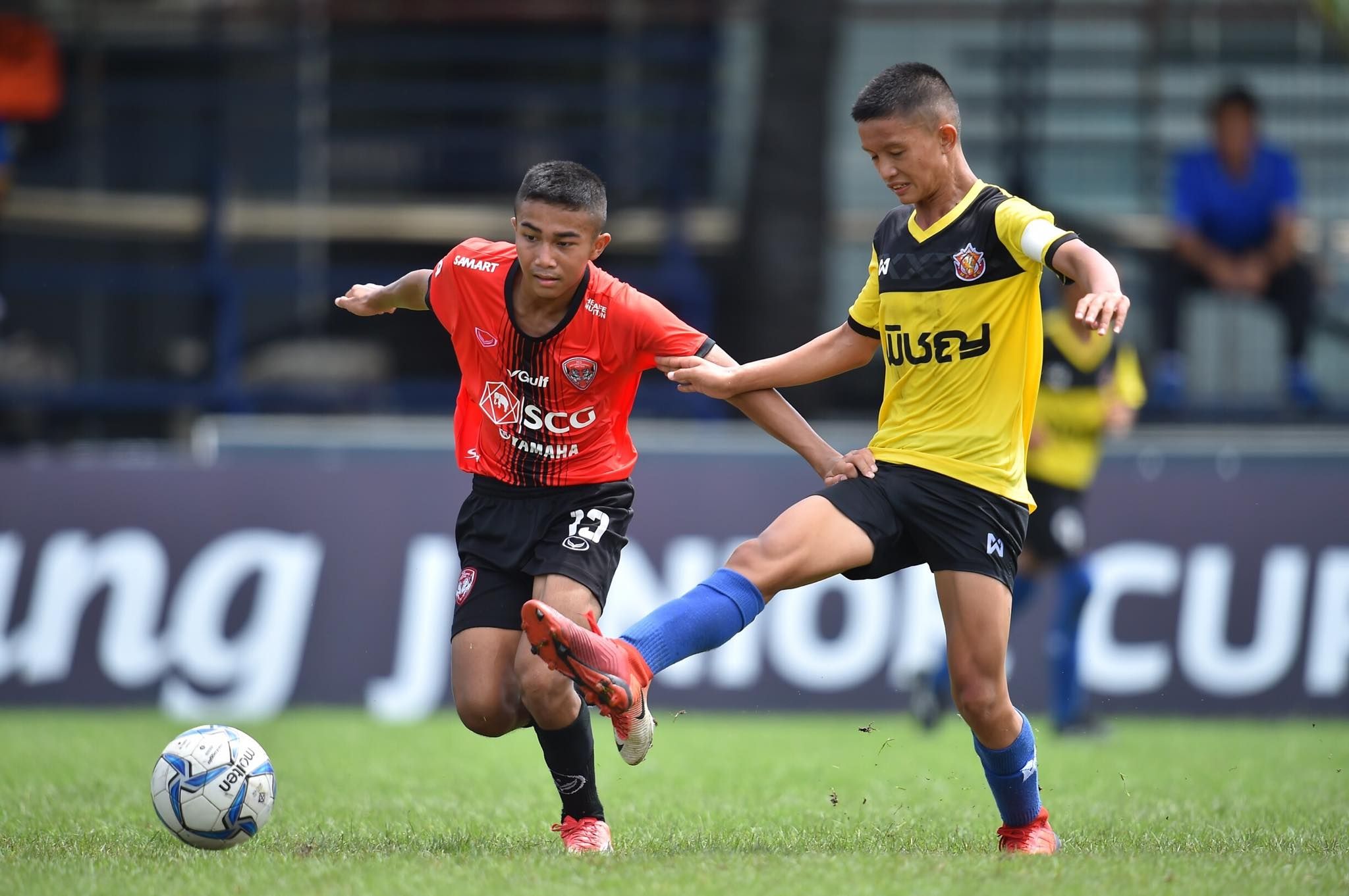 ช้างจูเนียร์2019