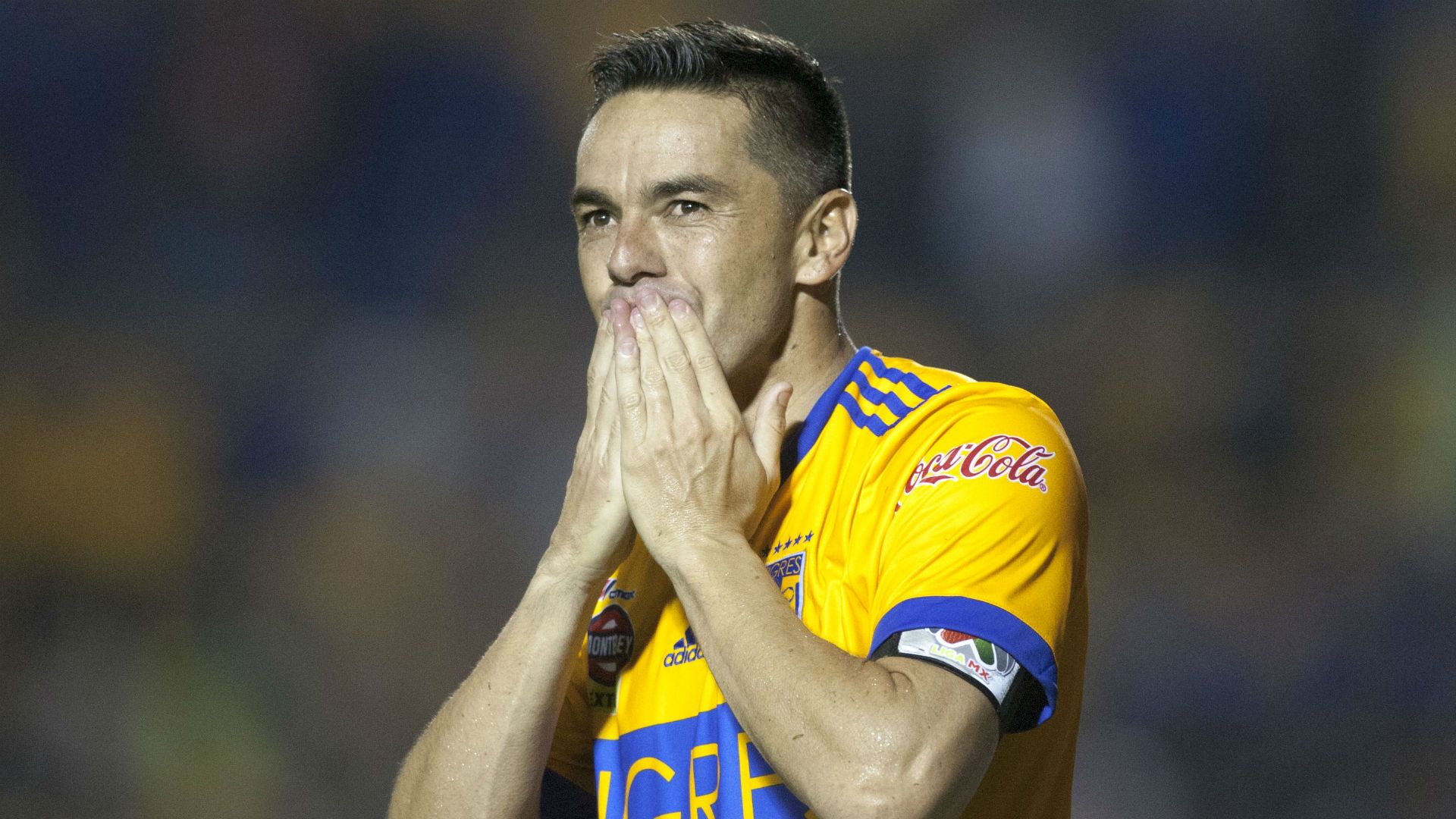 tigres vs chivas ape17