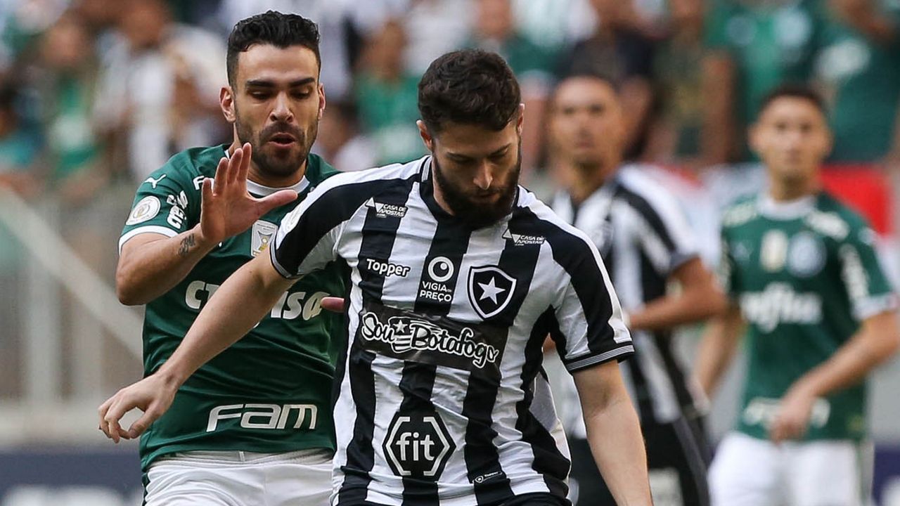 João Paulo Bruno Henrique Botafogo Palmeiras Brasileirão Série A 25052019