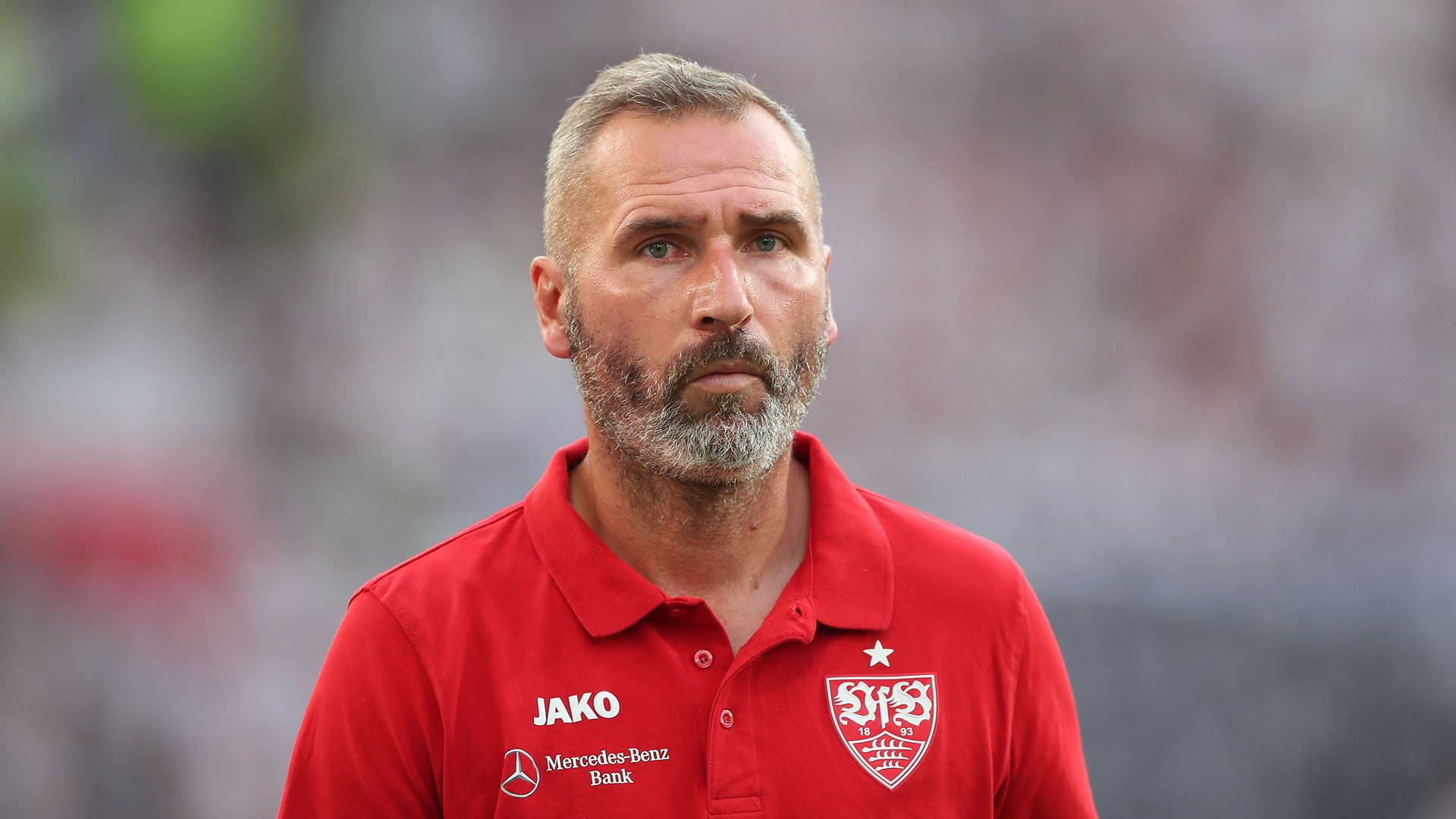 Tim Walter VfB Stuttgart