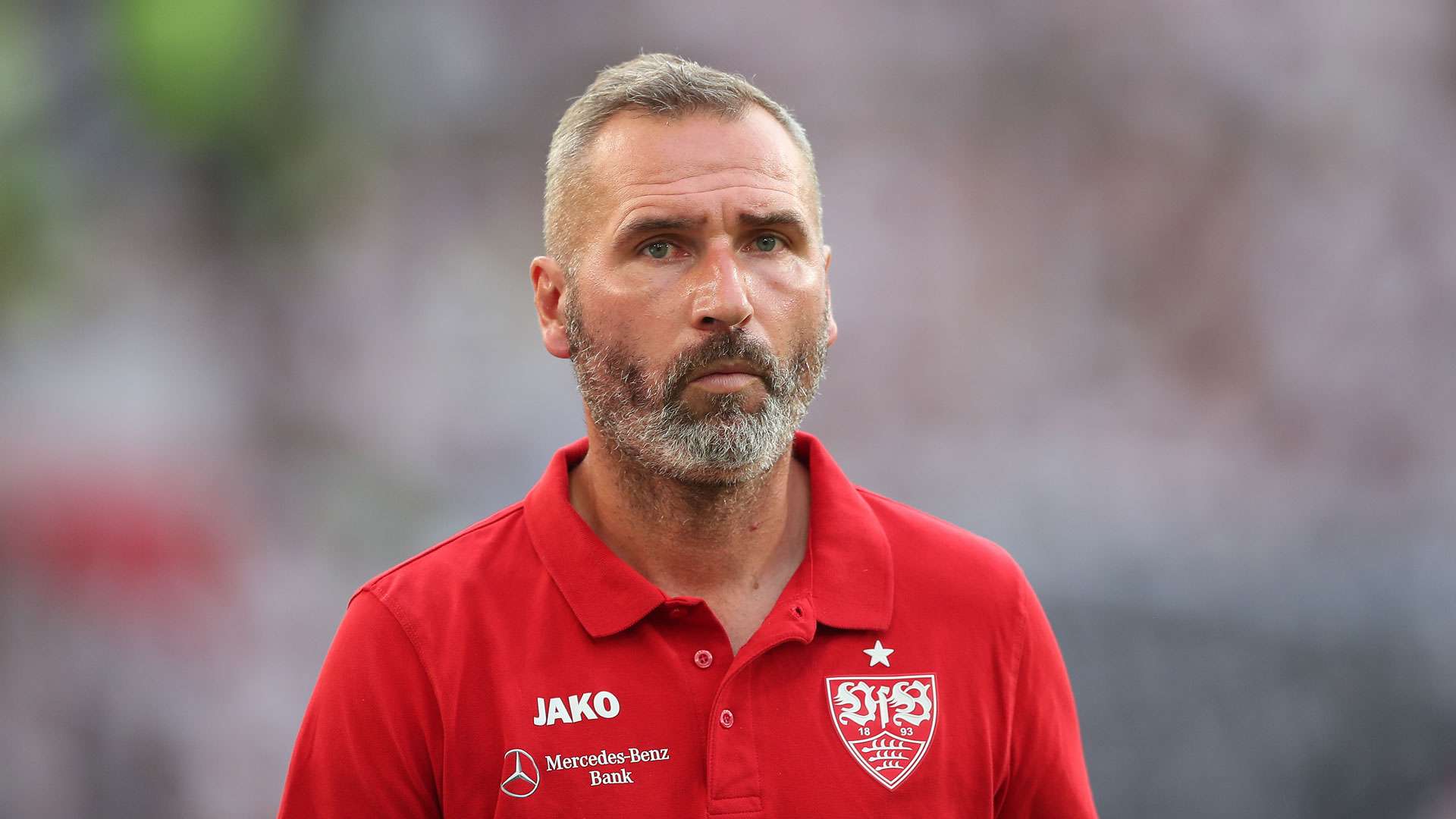 Tim Walter VfB Stuttgart