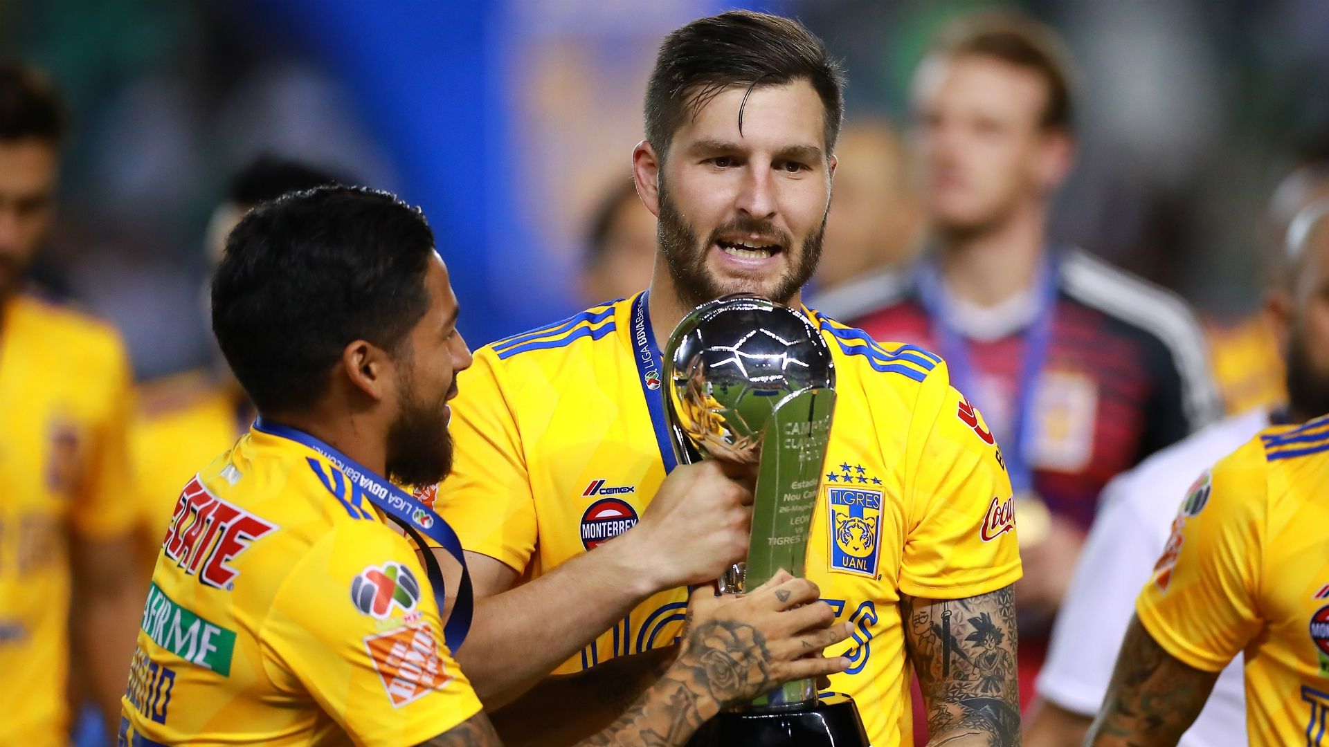 Tigres