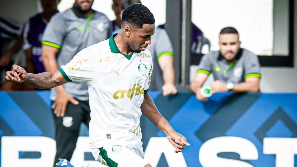 Allan Elias Palmeiras