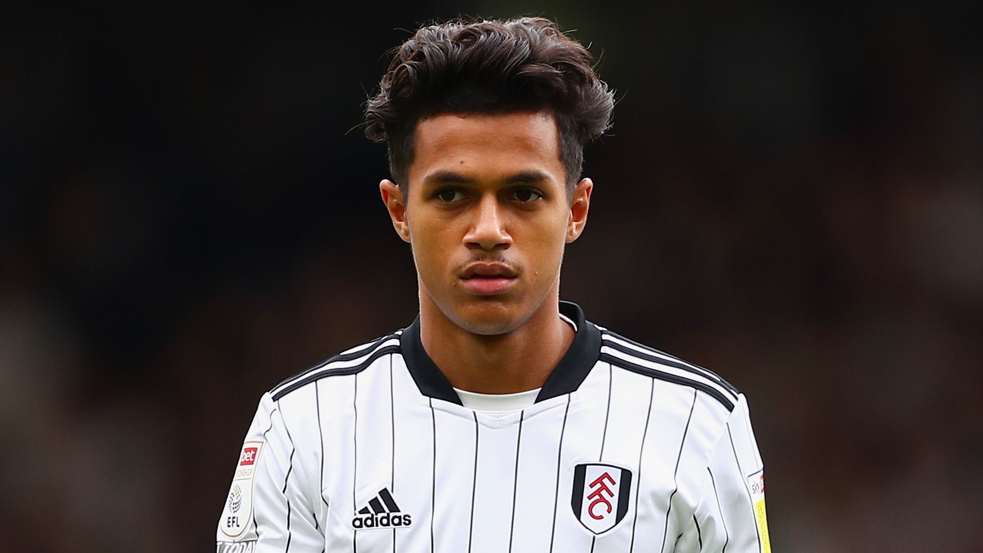 Fabio Carvalho, Fulham 2021-22
