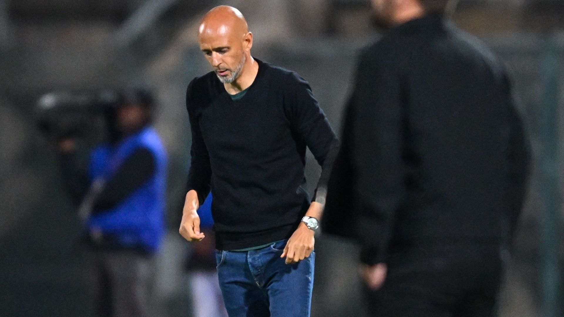 Miguel Cardoso, Mamelodi Sundowns