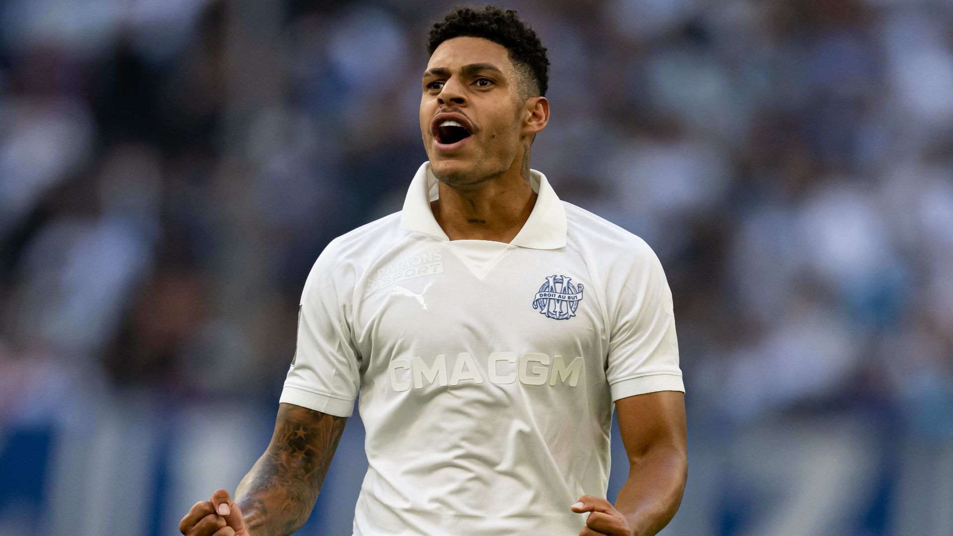 Luis Henrique Marsiglia