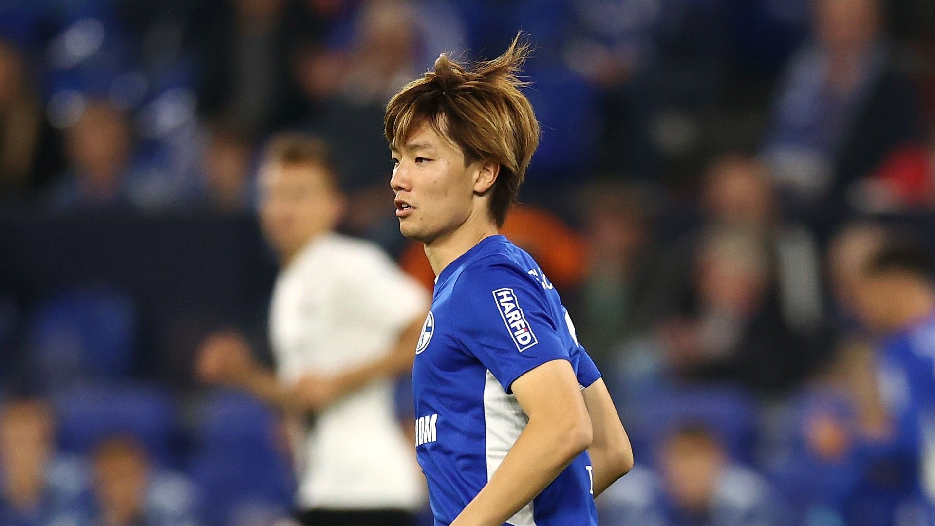 ko-itakura-schalke