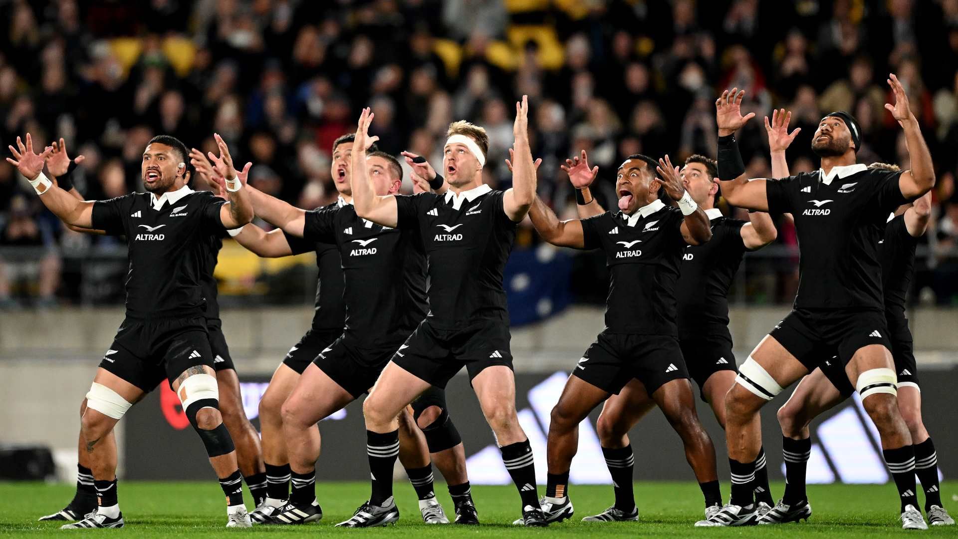 all blacks