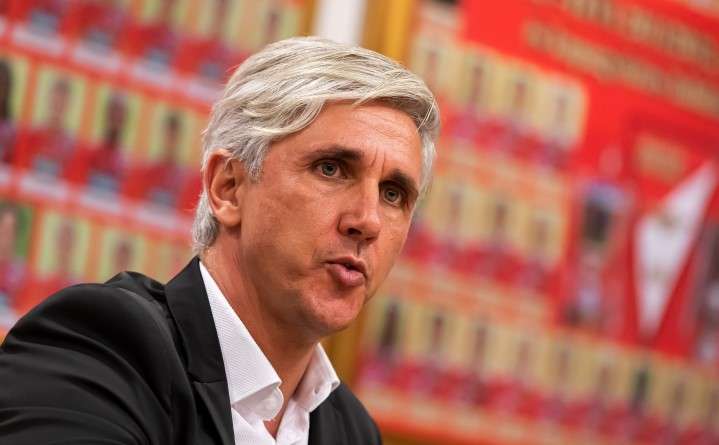 vitelki zoltán dvsc