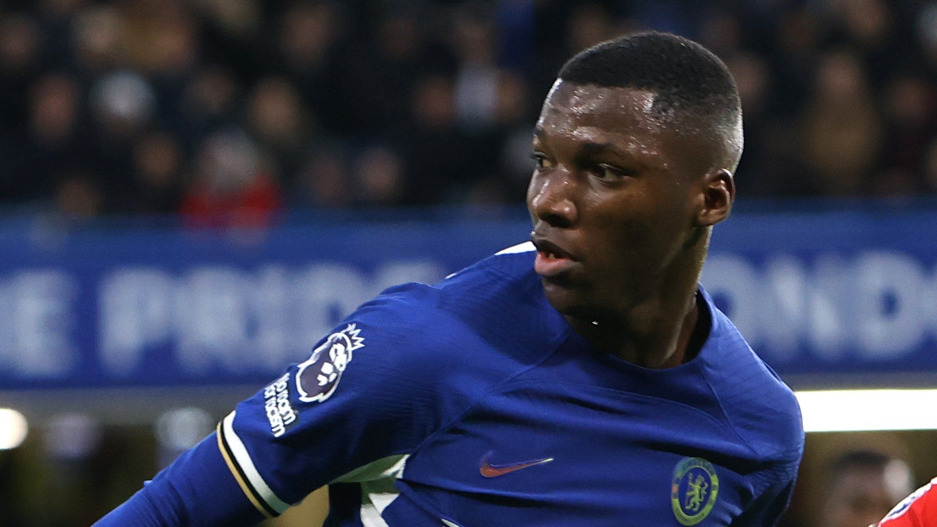 Moises Caicedo Chelsea 2023-24