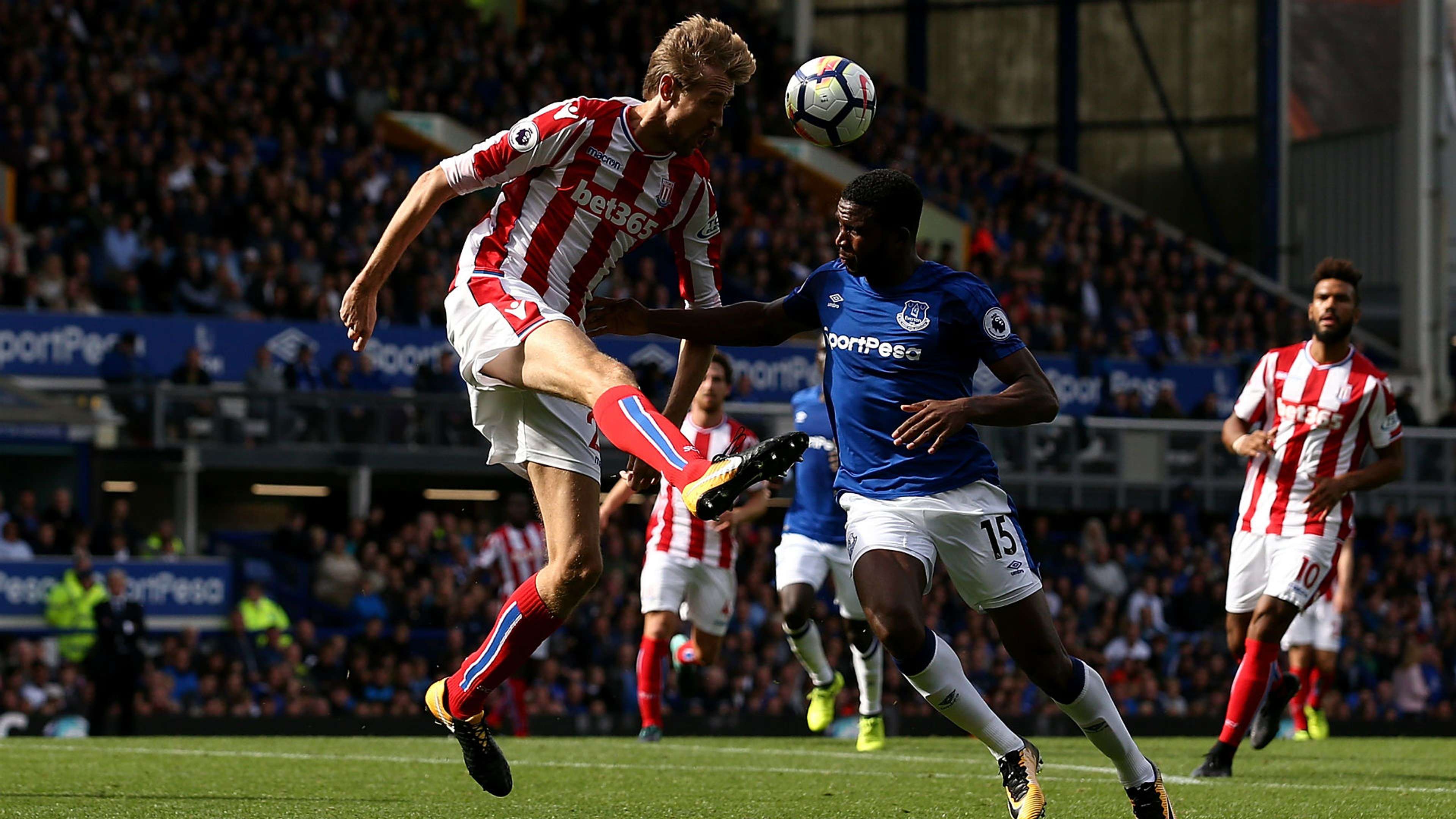 Peter Crouch Stoke City Everton