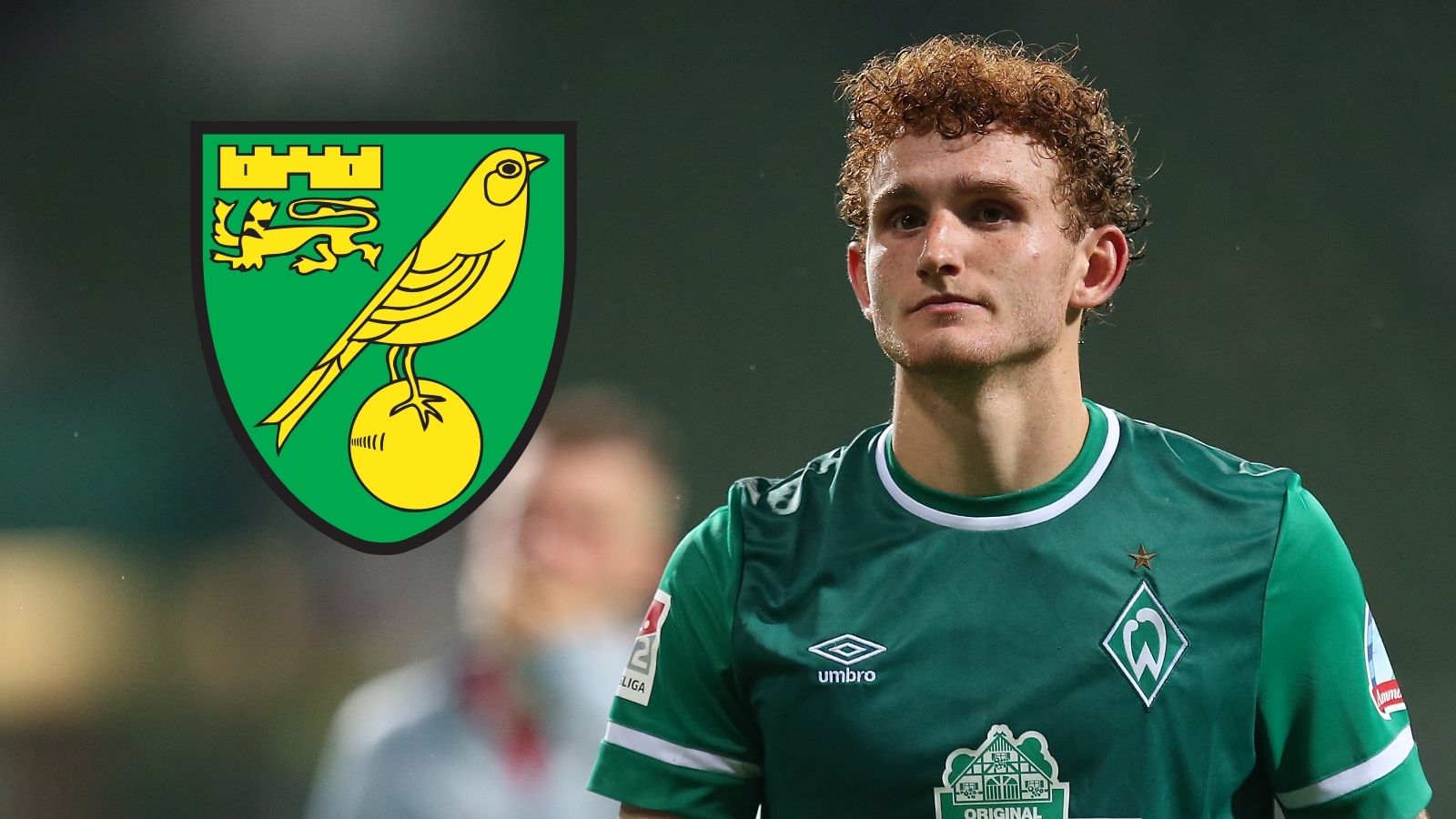 Josh Sargent Werder Bremen Norwich City GFX