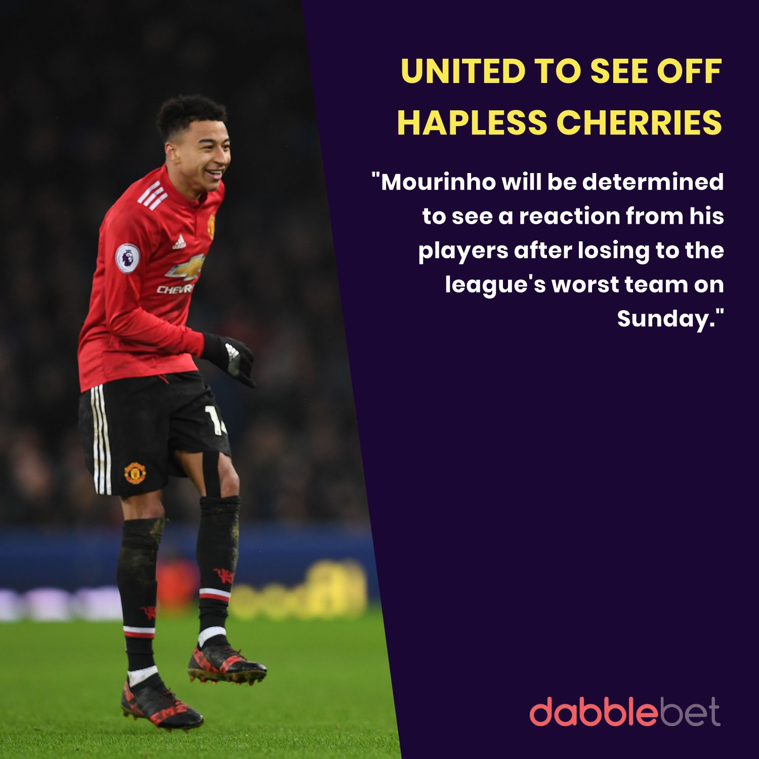 Bournemouth Man United graphic