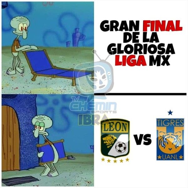 Memes Tigres León