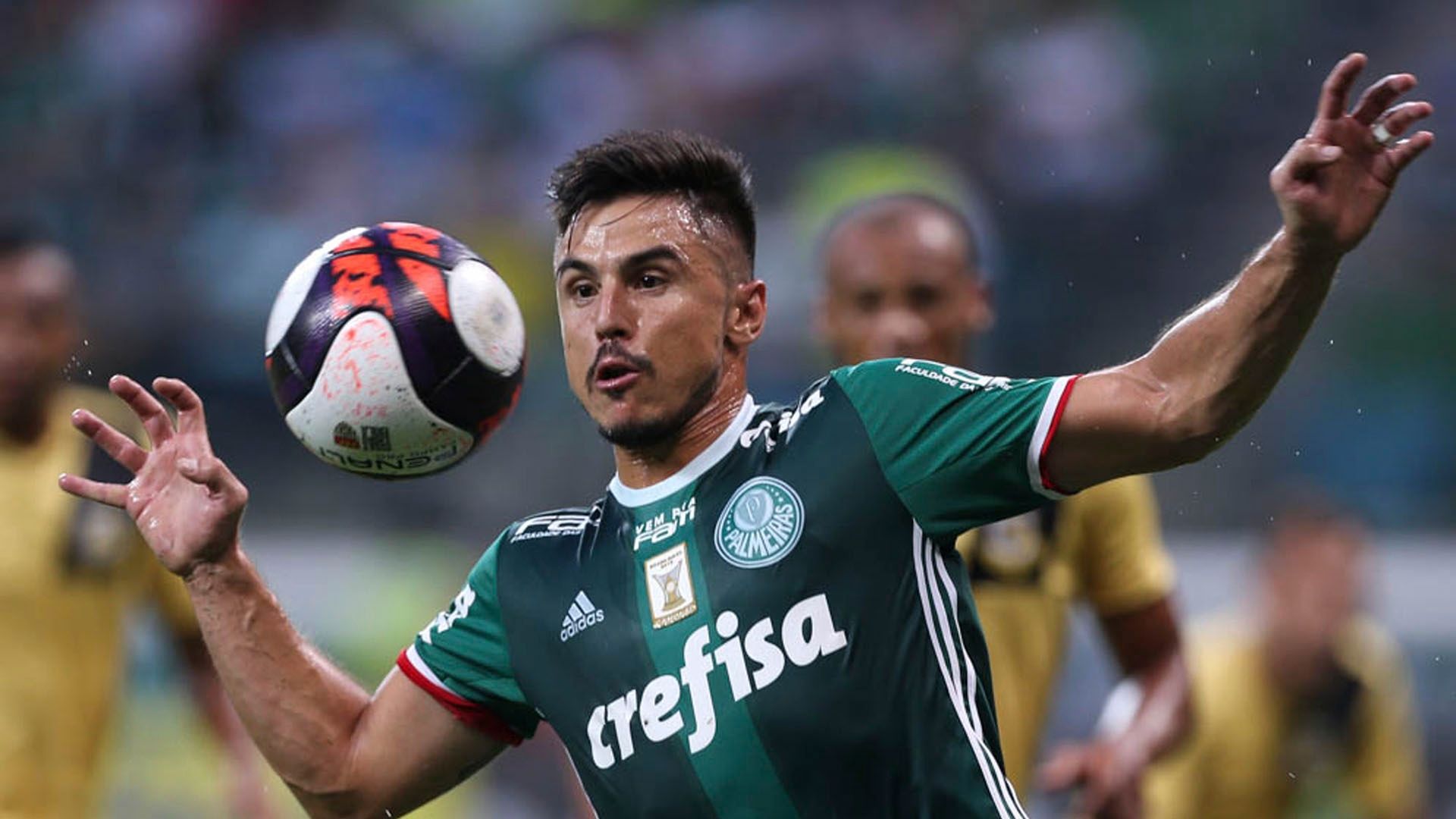 Willian Palmeiras x São Bernardo 16 02 17