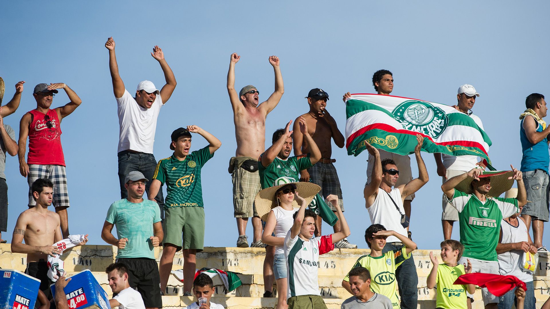 Rebaixamentos 2012 Palmeiras torcida