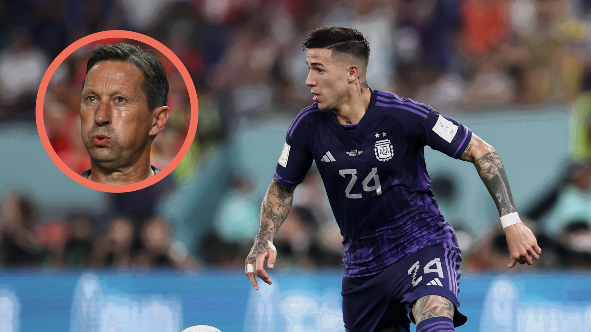 Roger Schmidt Enzo Fernandez