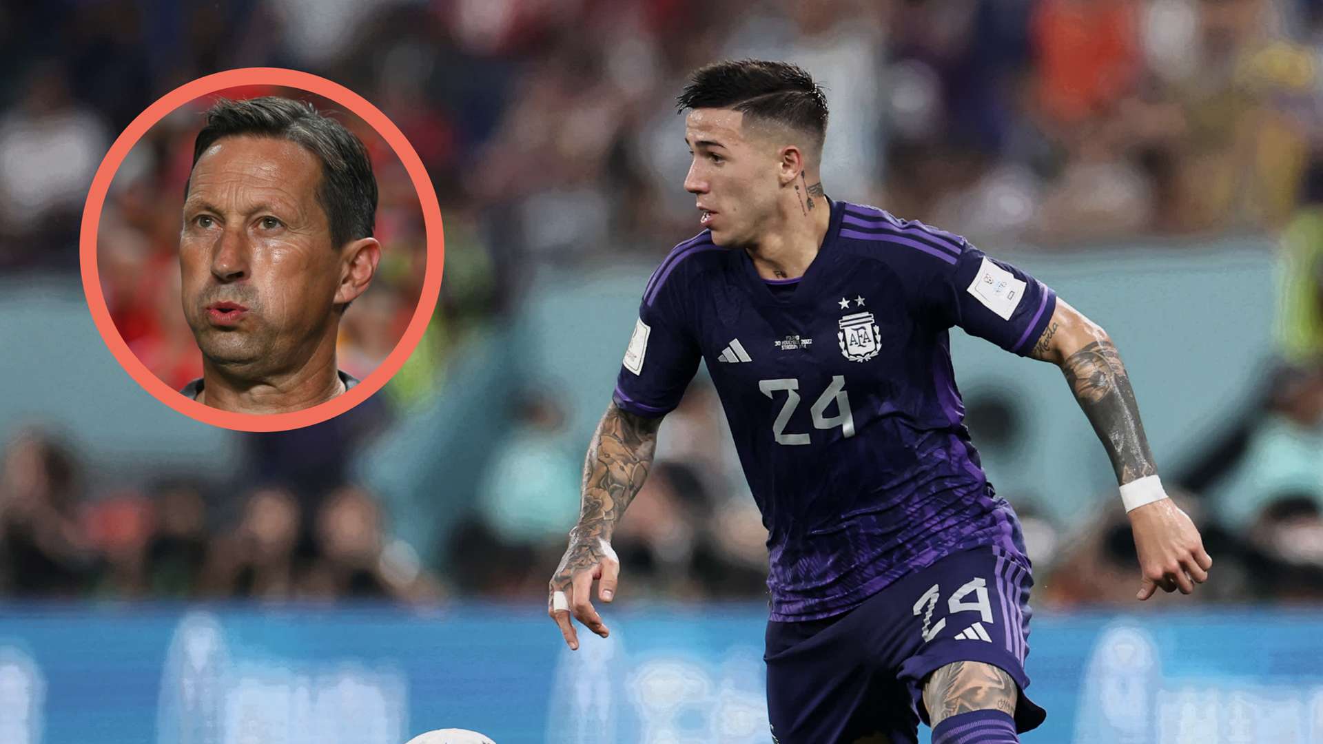 Roger Schmidt Enzo Fernandez