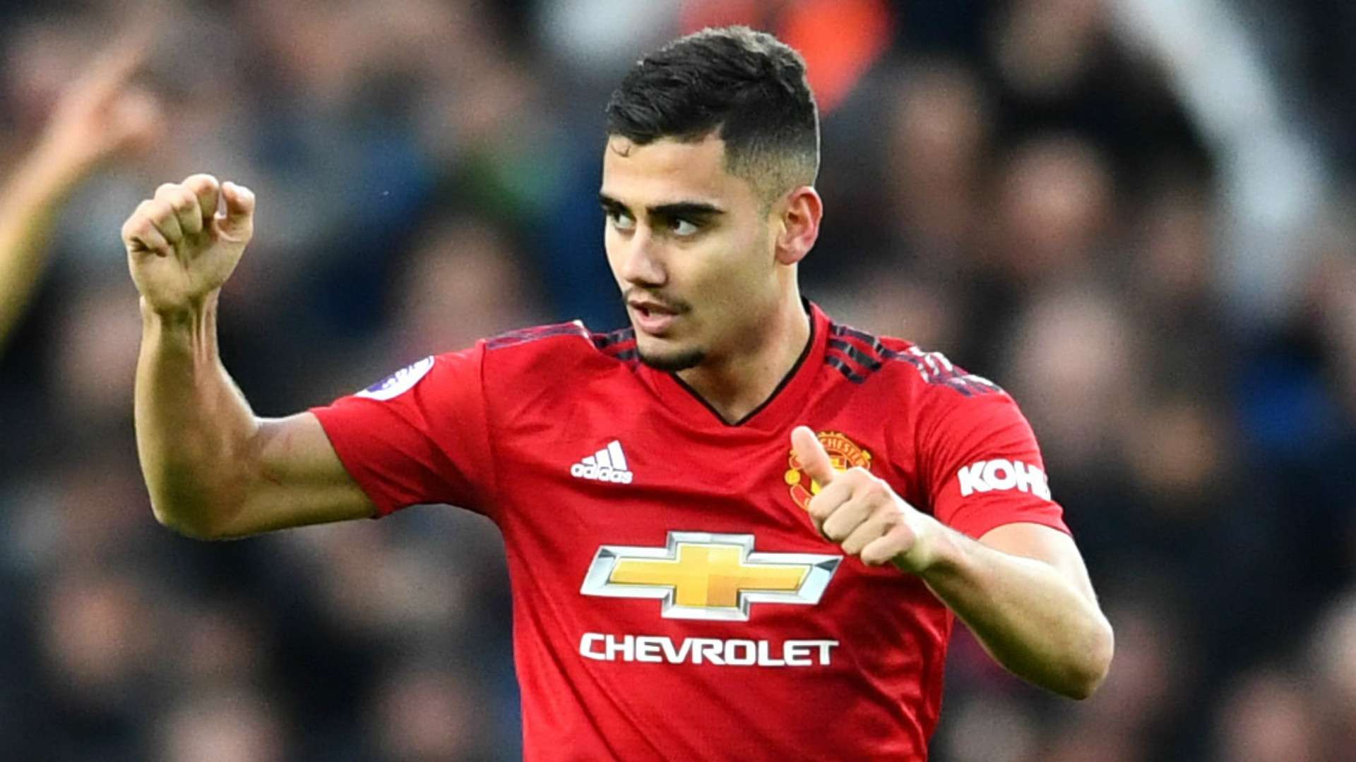 Andreas Pereira Manchester United 2018-19