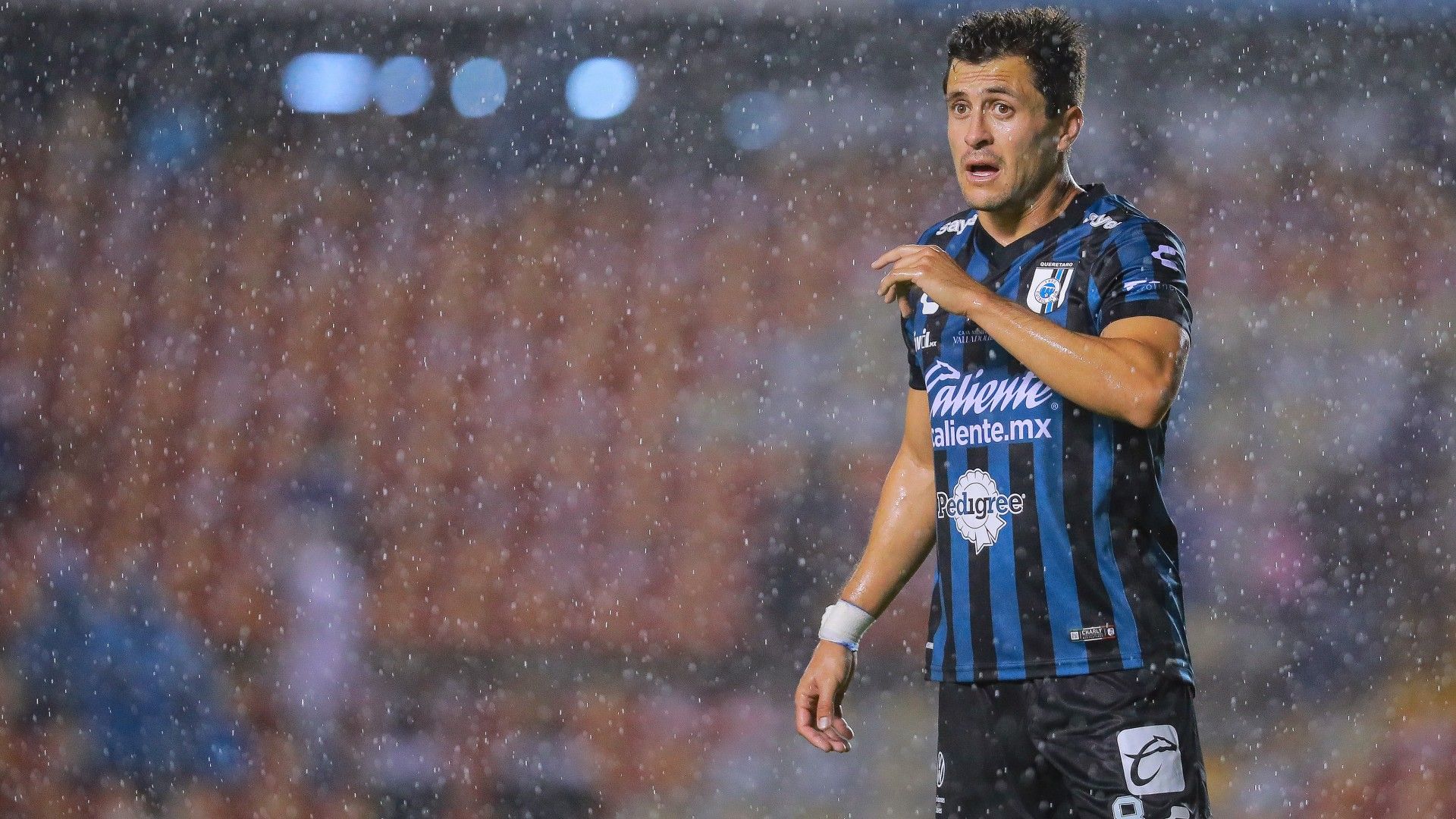 Gallos Blancos Querétaro Guardianes 2021