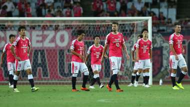 cerezo01.jpg