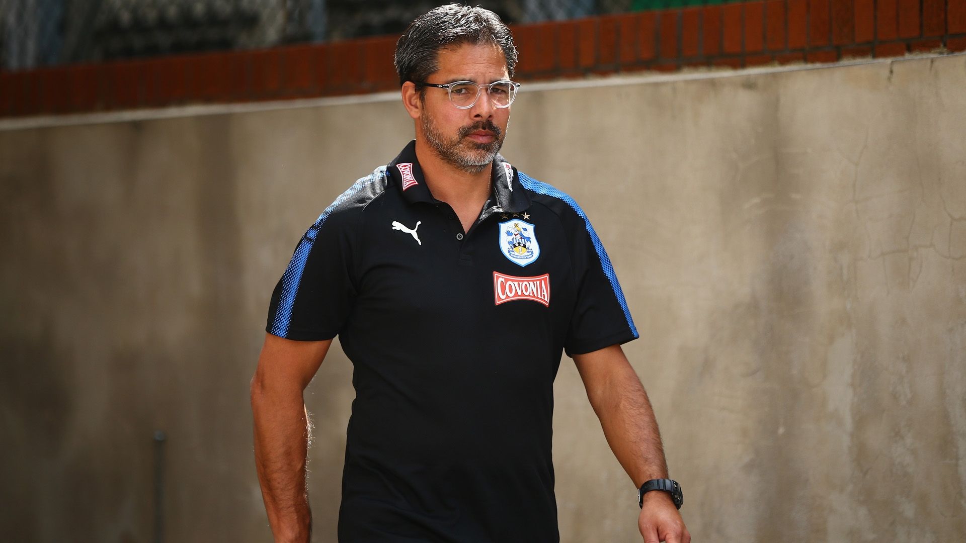david wagner huddersfield town premier league 081217