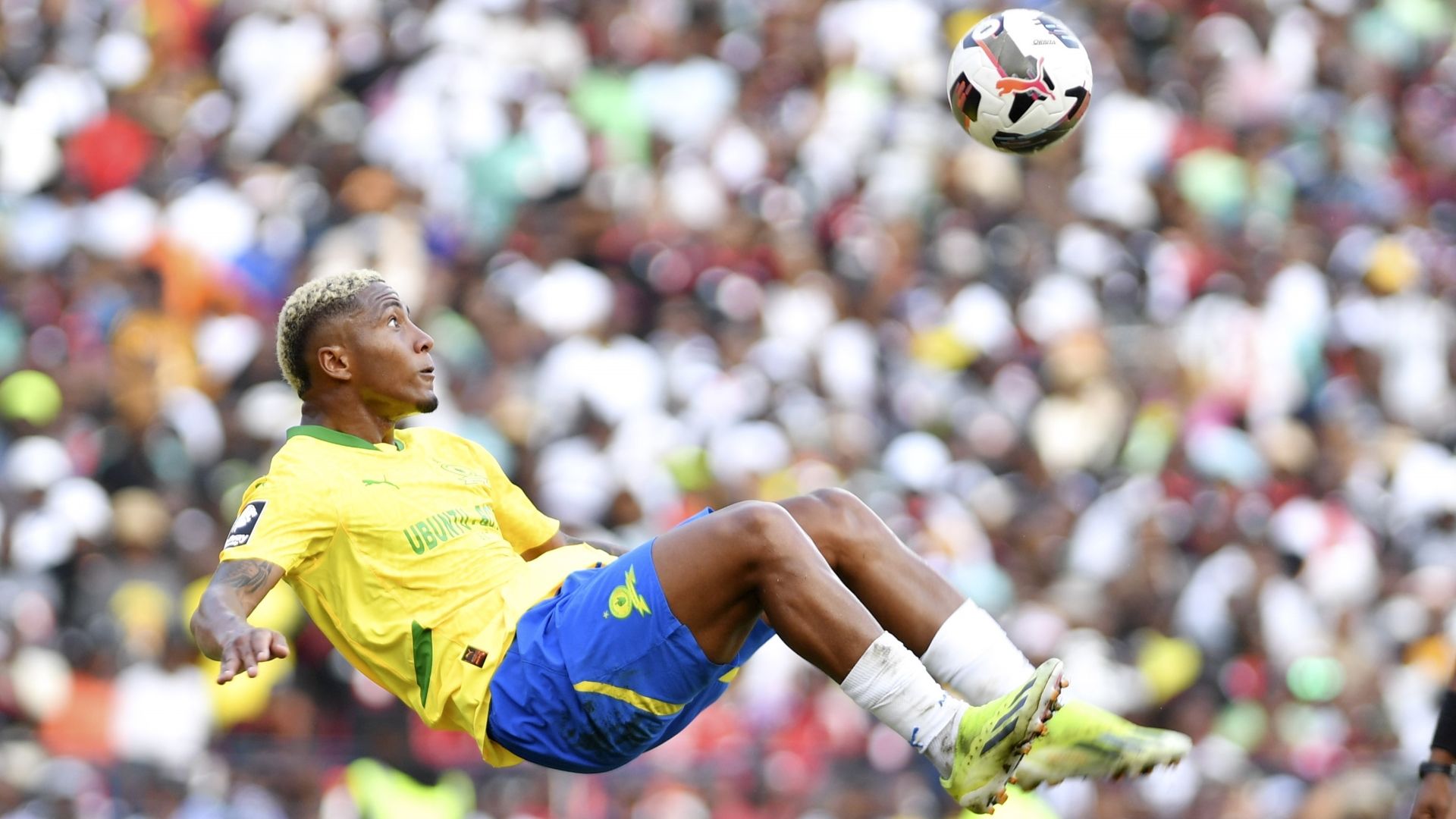 Lucas Ribeiro, Mamelodi Sundowns