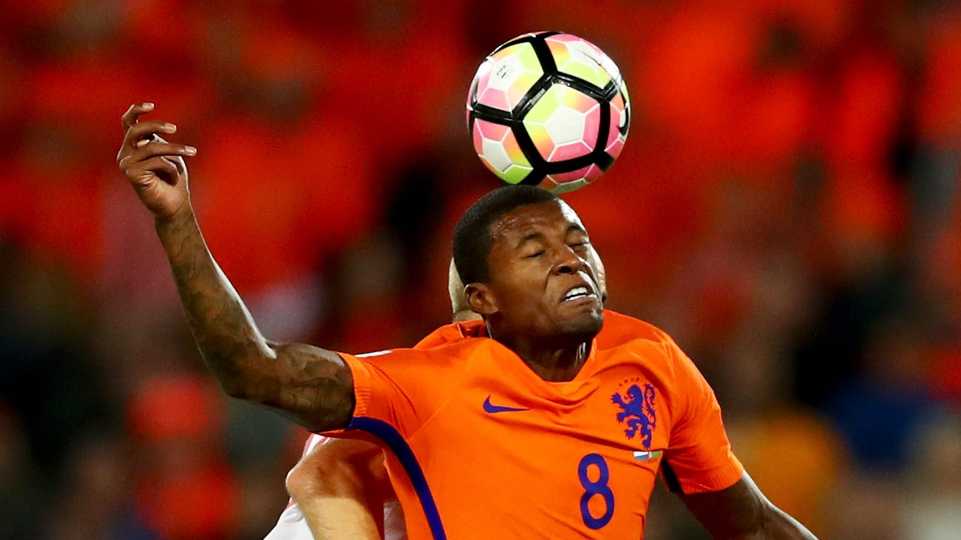 Georginio Wijnaldum, Netherlands