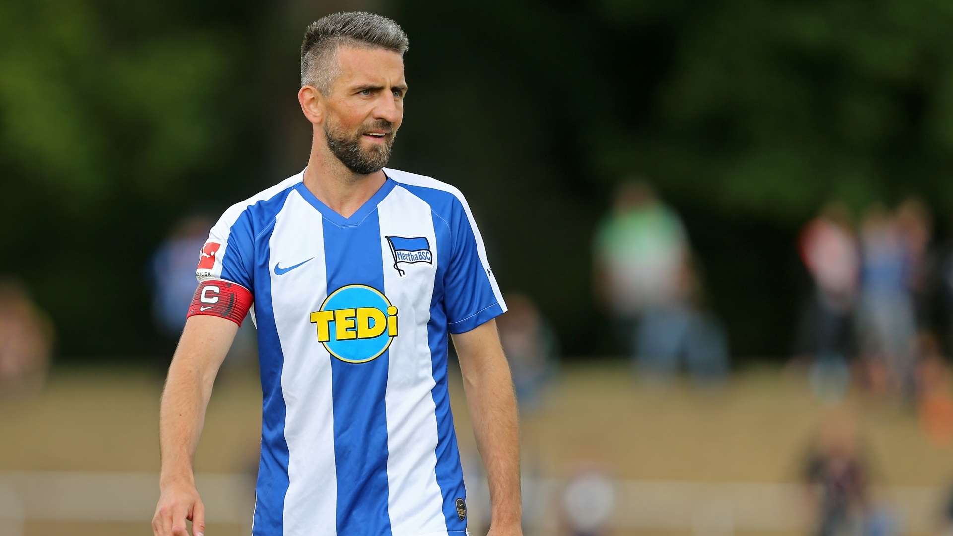 Vedad Ibisevic - Hertha Berlin