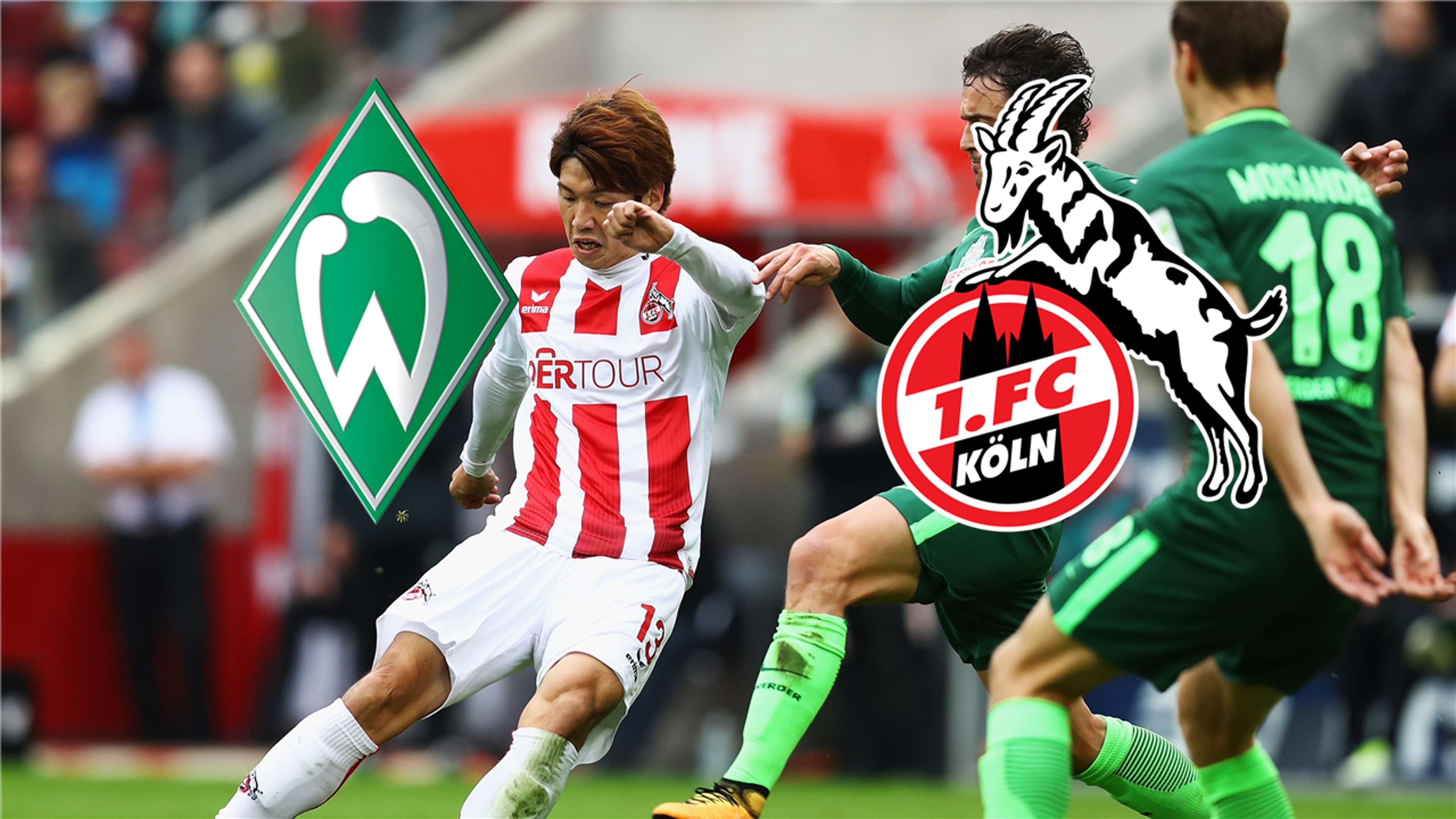 GFX Werder Bremen 1. FC Köln LIVE STREAM TV