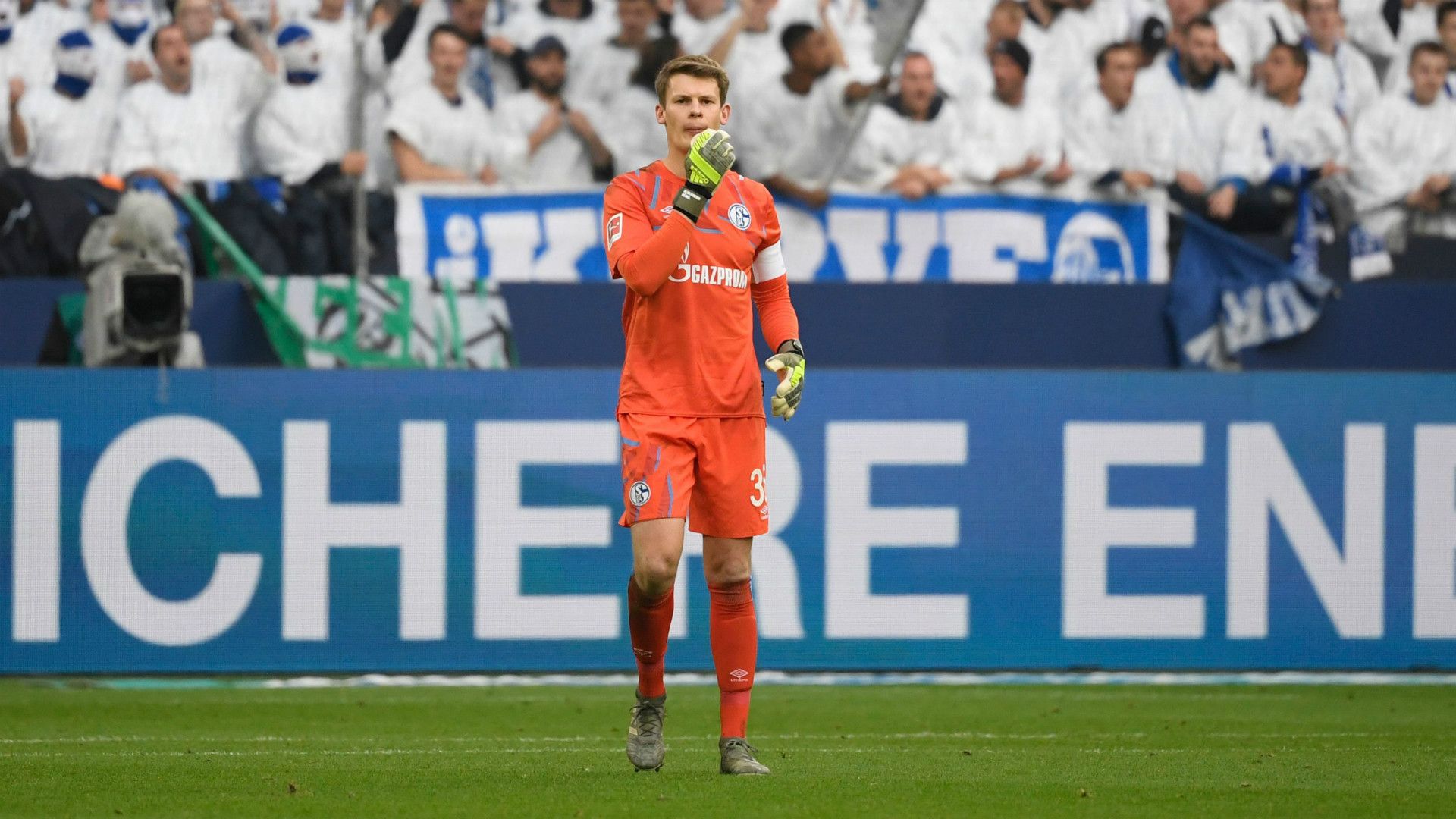 ALEXANDER NÜBEL SCHALKE