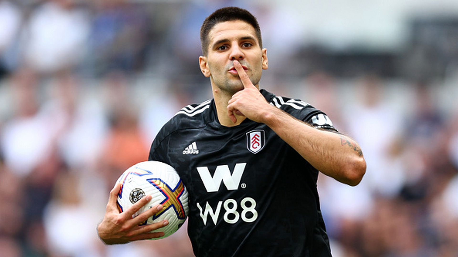 Mitrovic fulham