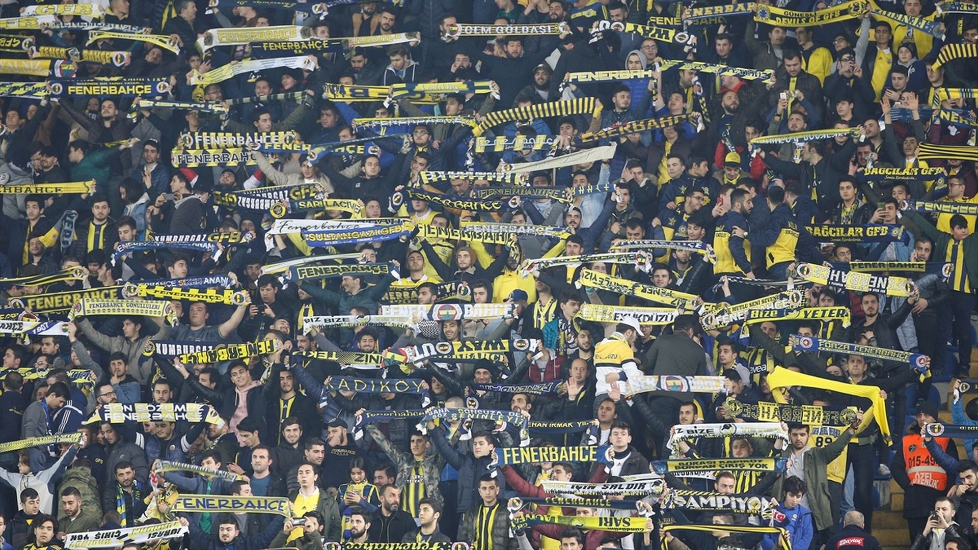 Fenerbahce fans