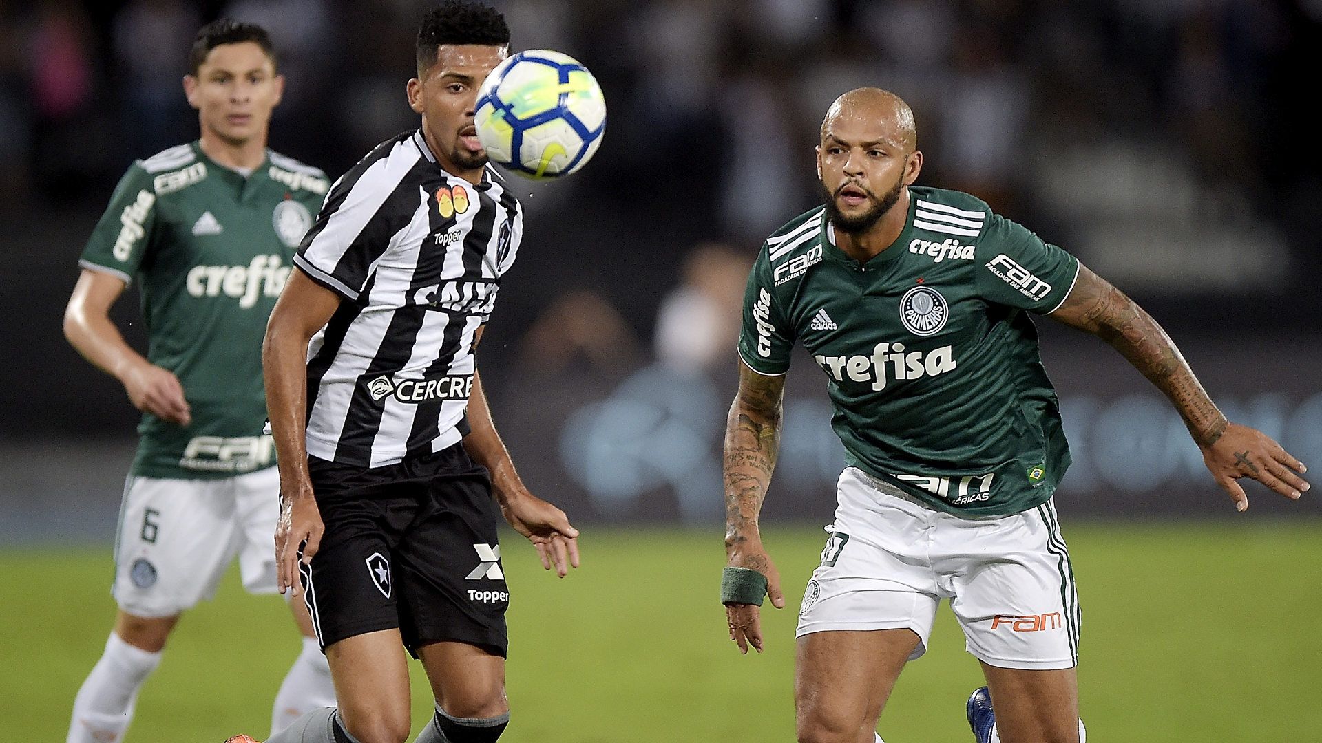 Matheus Fernandes Felipe Melo Botafogo Palmeiras 16042018 Brasileirao Serie A