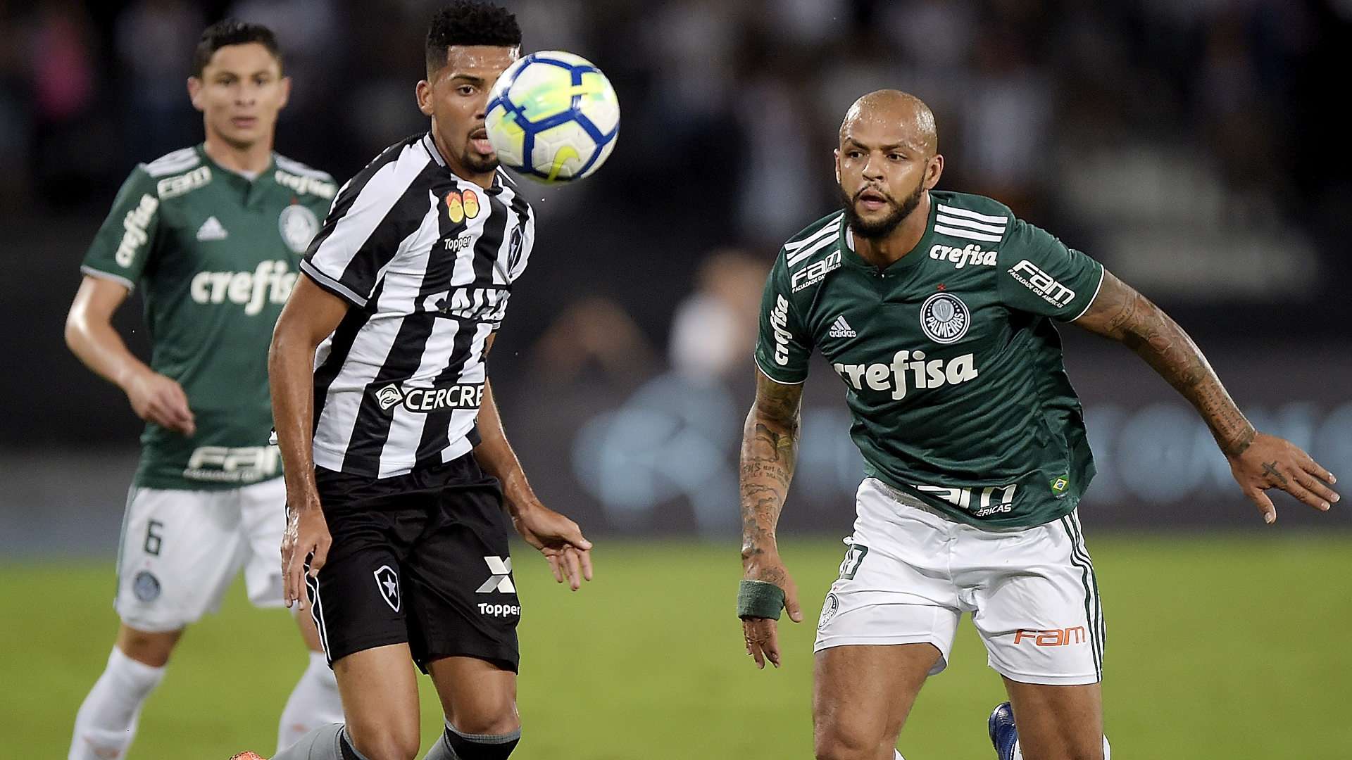 Matheus Fernandes Felipe Melo Botafogo Palmeiras 16042018 Brasileirao Serie A