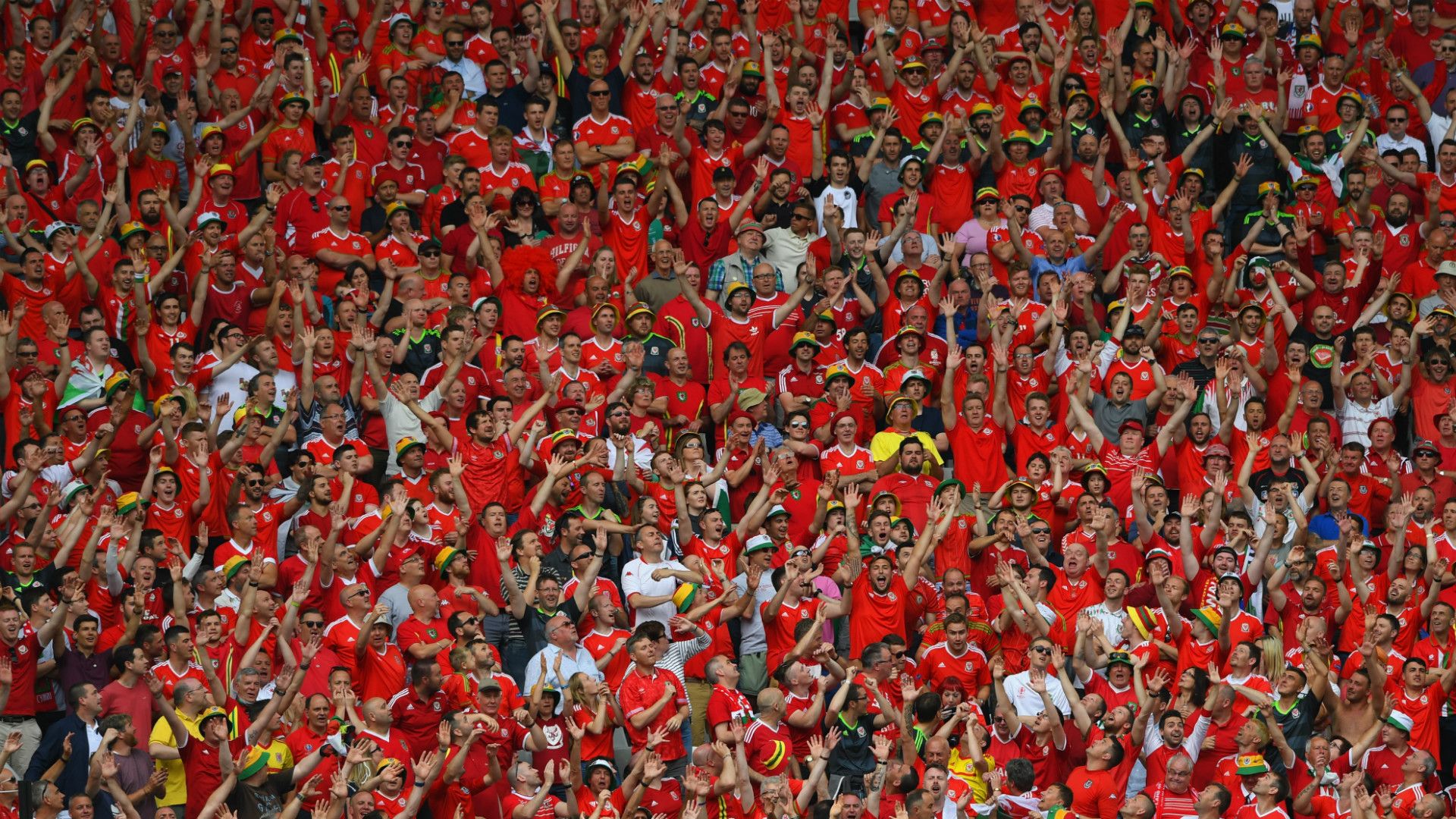 Wales Fans 11062016.