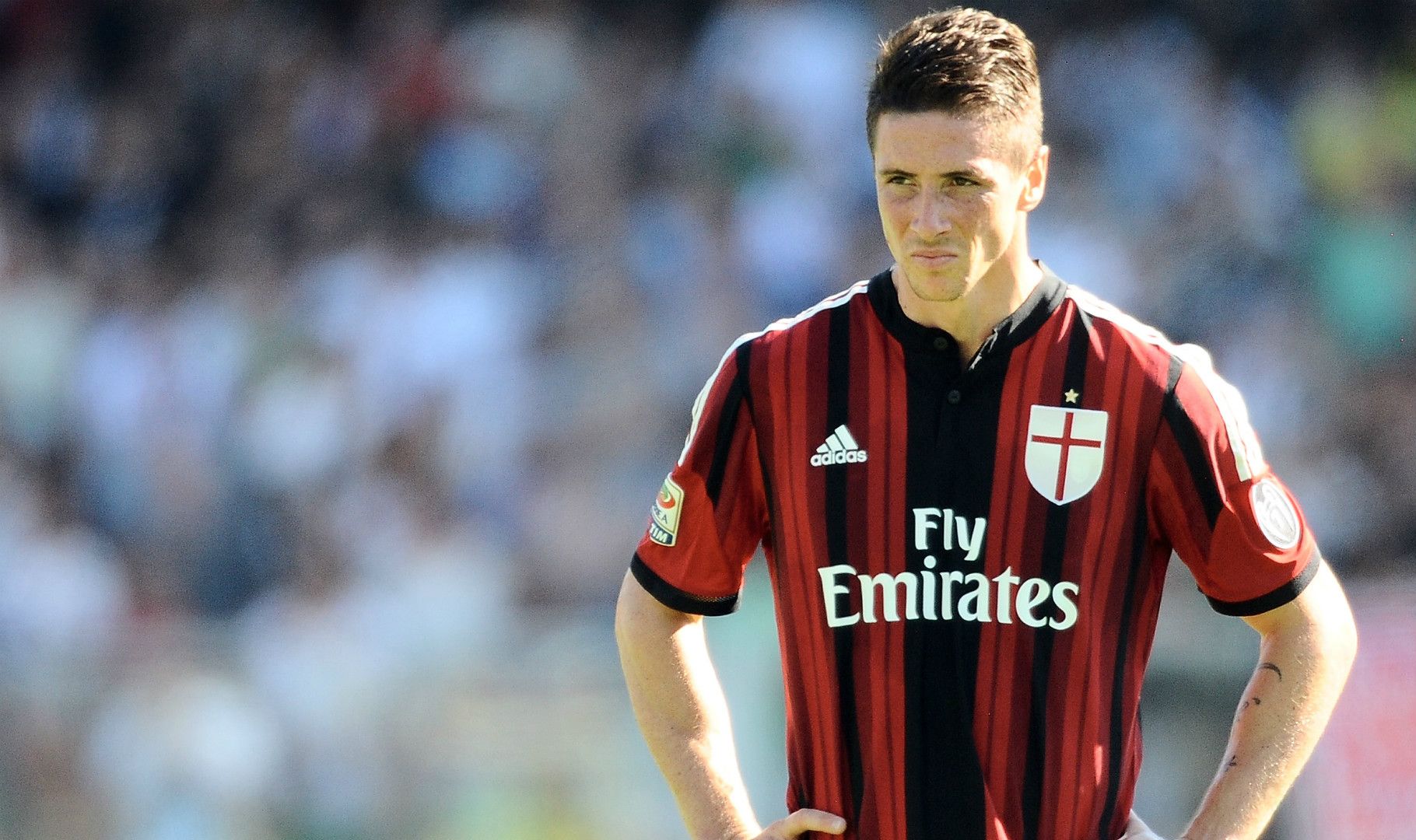 Fernando Torres Milan