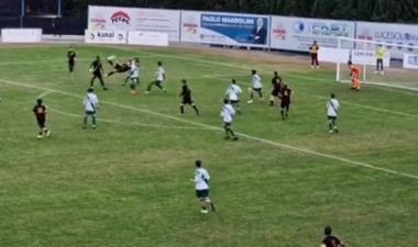 Rovesciata alessandroni