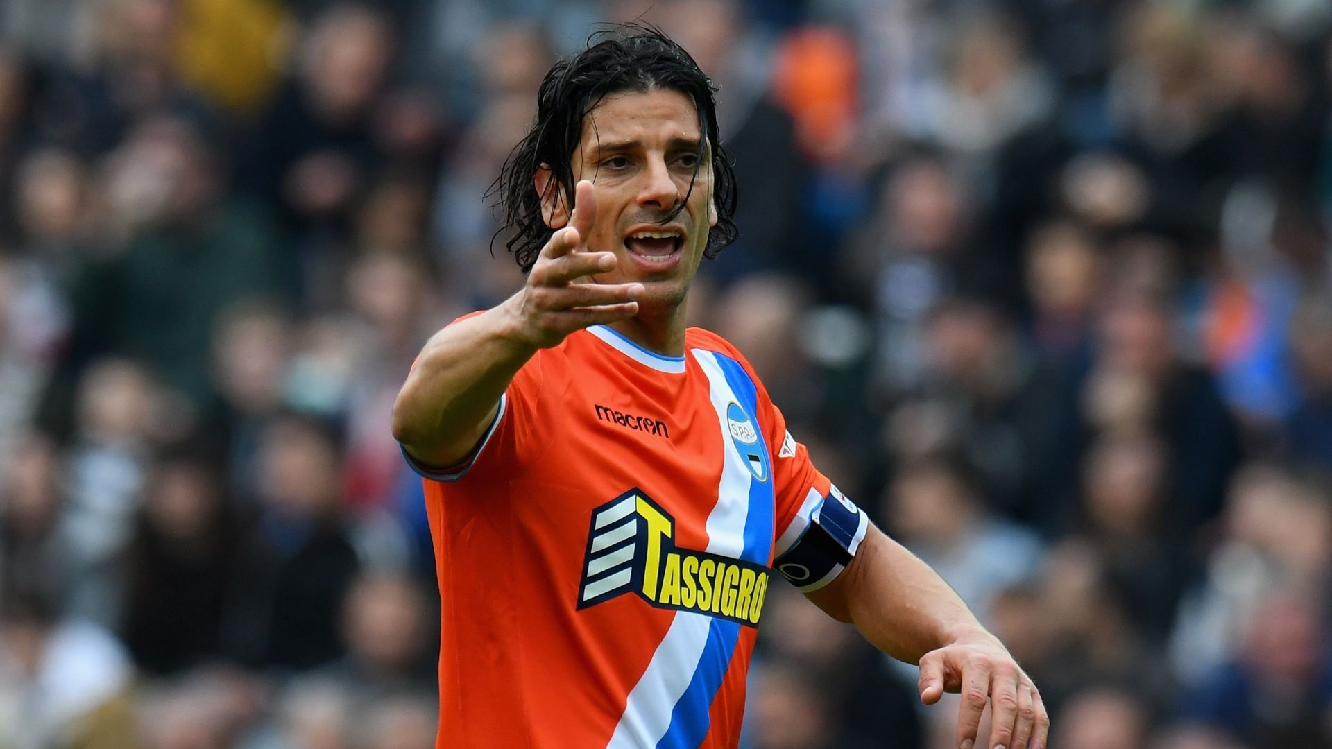 Sergio Floccari - SPAL