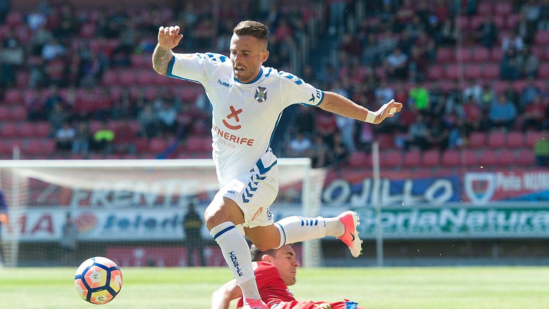 Aaron Niguez, Johor Darul Ta'z'im