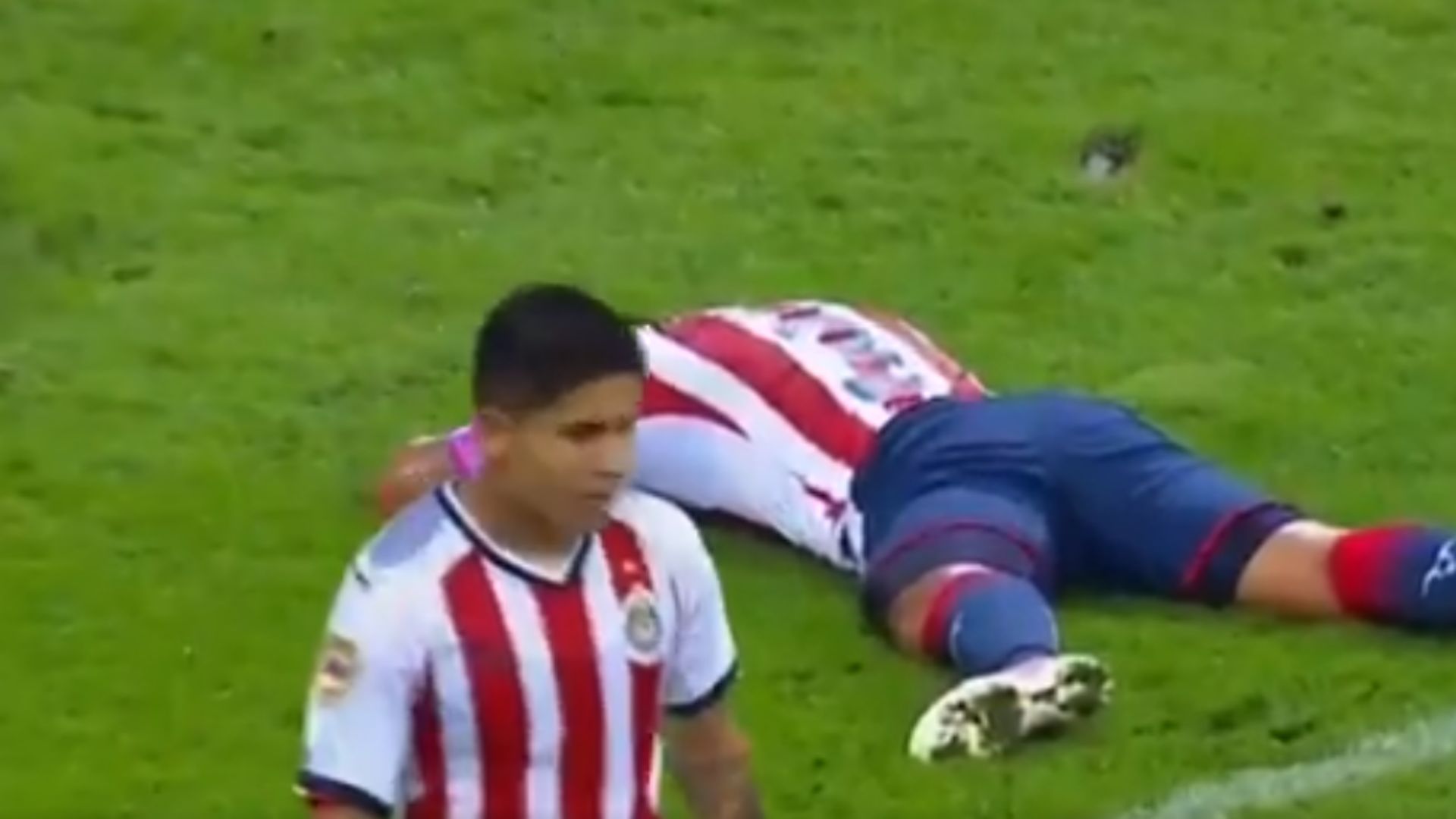 autogol salcido chivas vs morelia j13 ape17