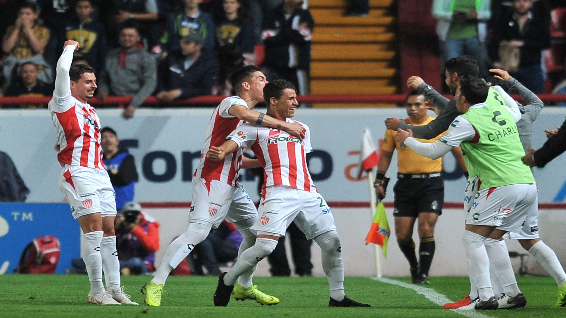 Festejo Necaxa Pumas Foto