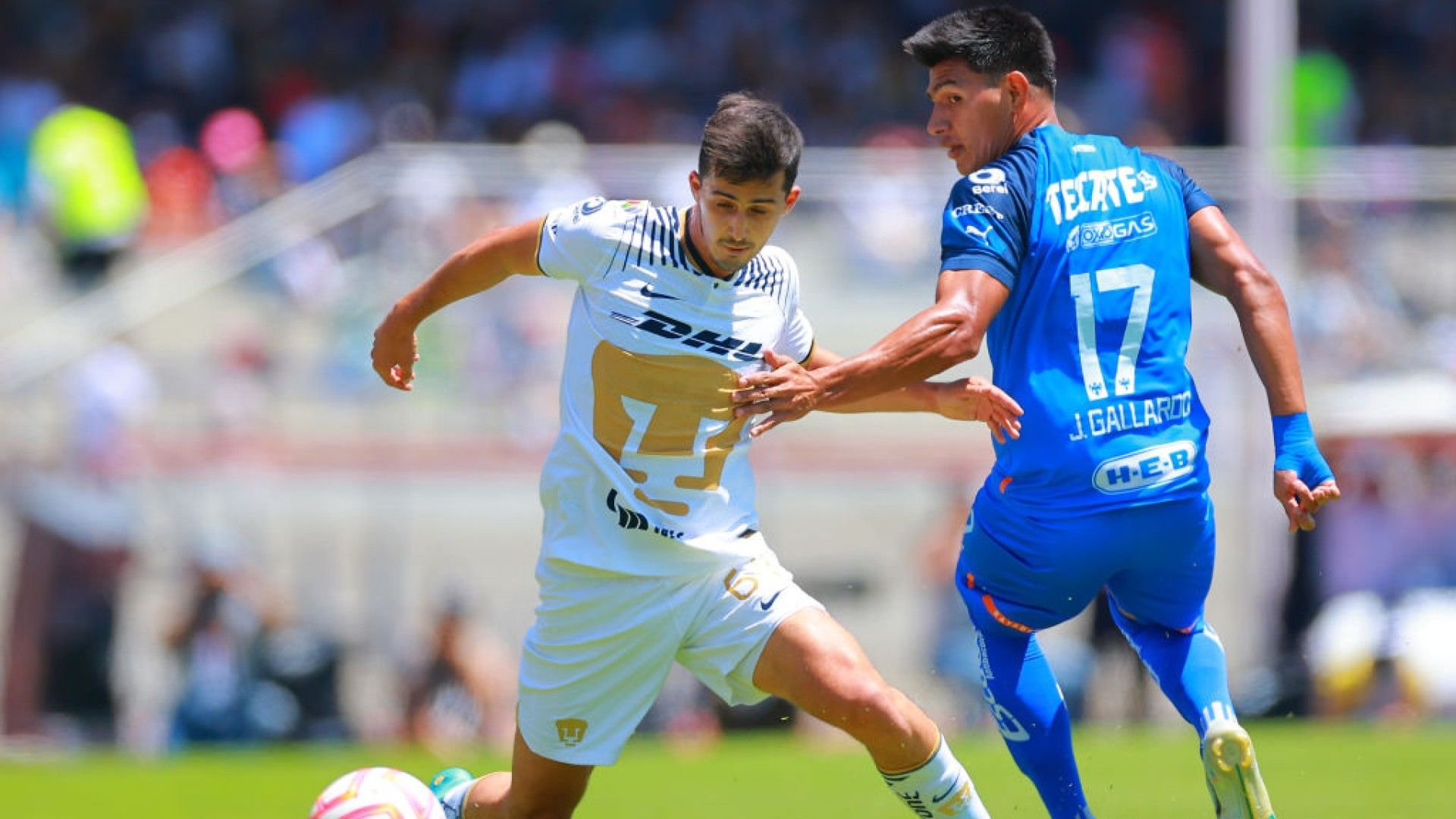 Pablo Bennevendo Jesús Gallardo Pumas Monterrey Apertura 2023