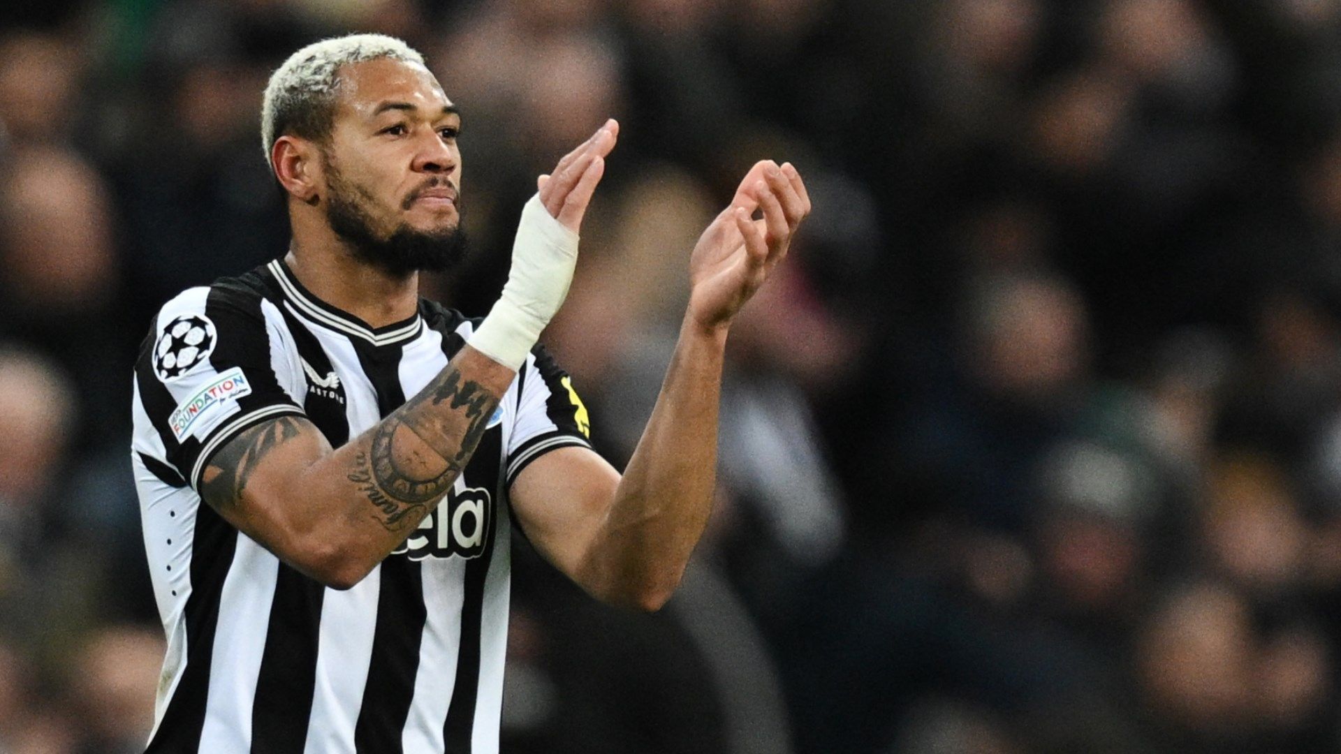 Joelinton Newcastle AC Milan 2023-24 Champions League