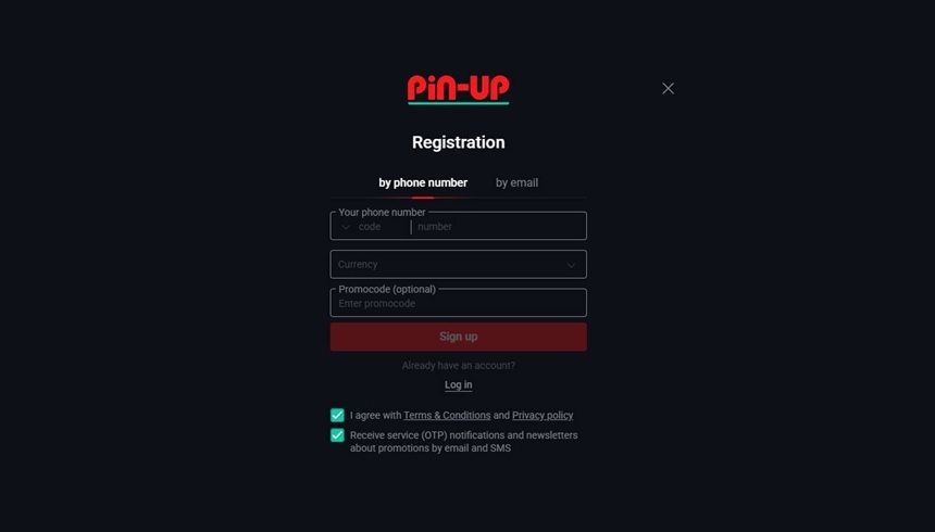 Pin-Up Registration form