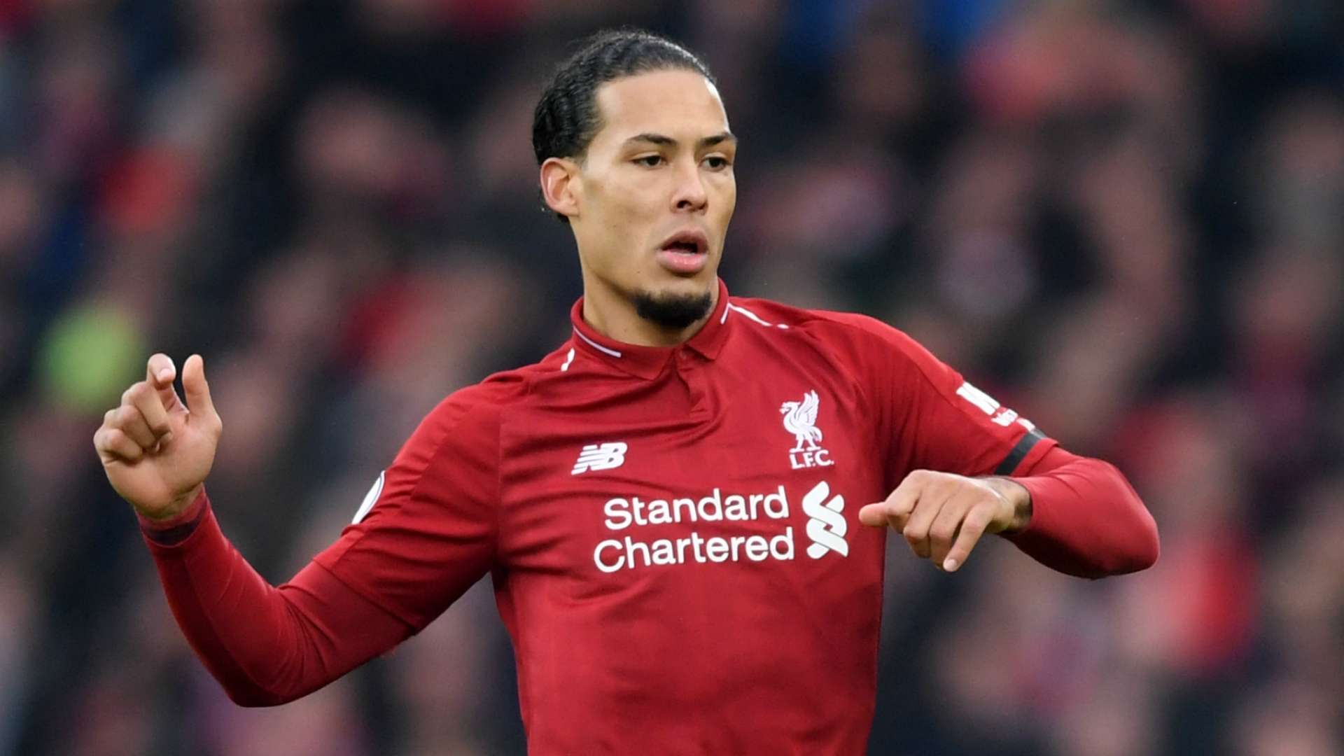 virgilvandijk-cropped